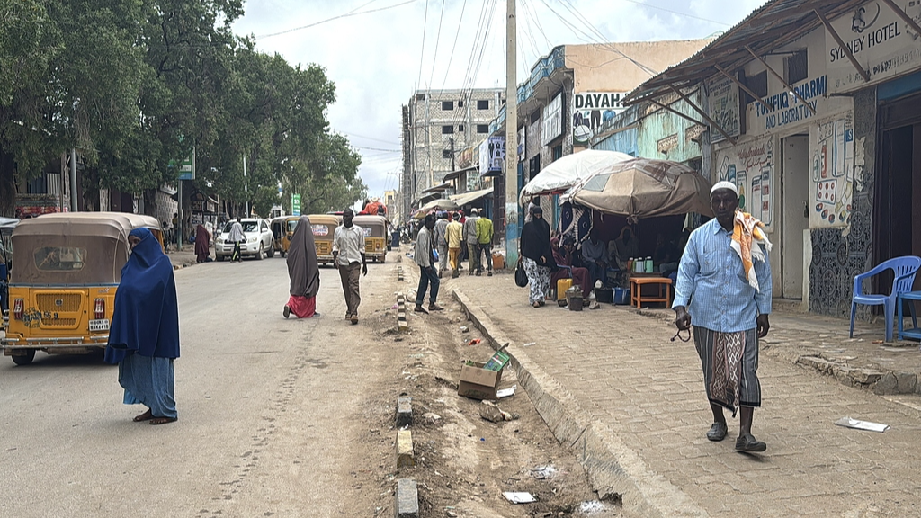 At least 30 al-Shabaab fighters killed in foiled attack in Somalia