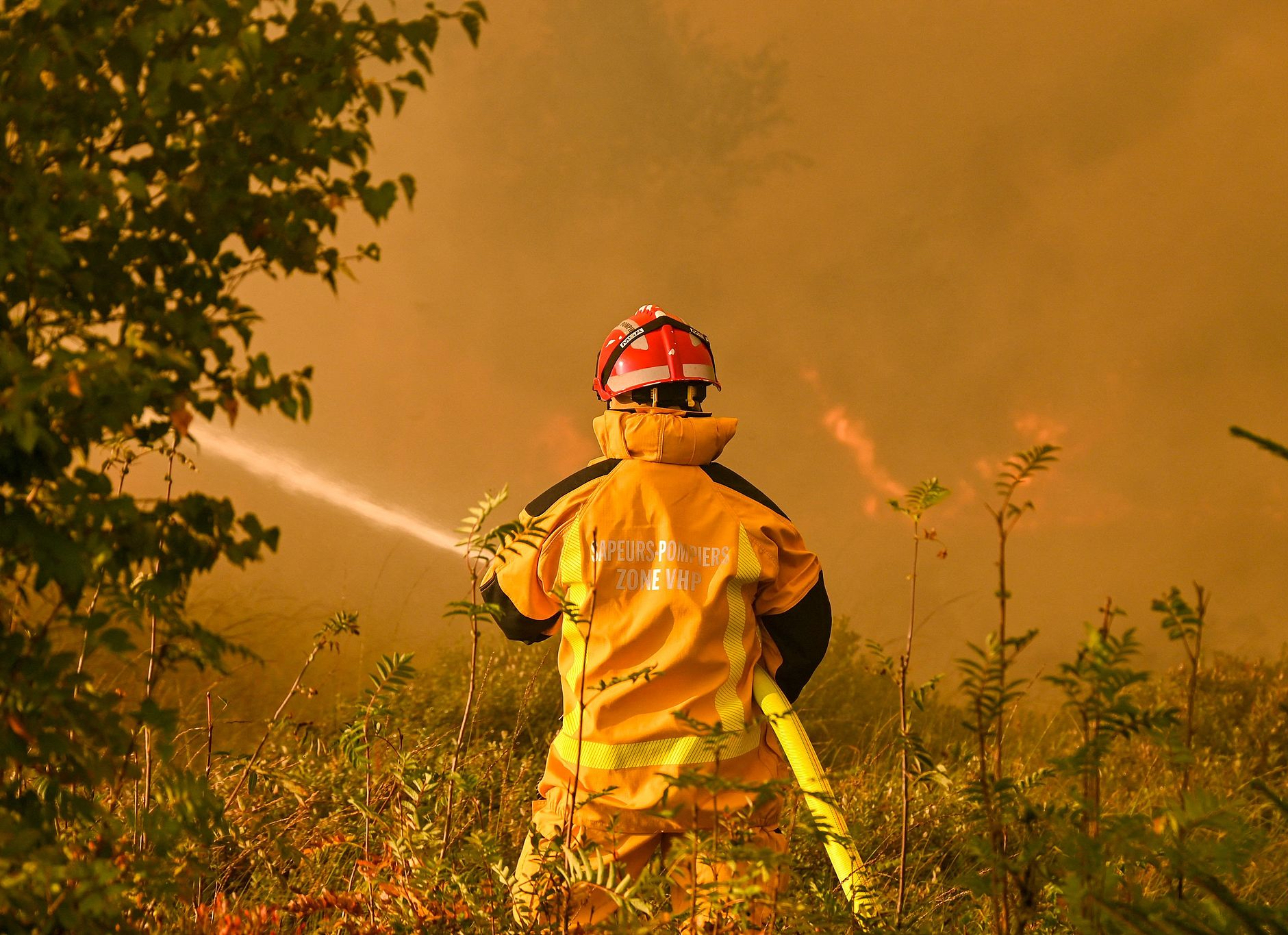 A firefighter tries to extinguish a wildfire in the Hautes Fagnes (High Fens) nature reserve, Belgium, August 17, 2026. /VCG