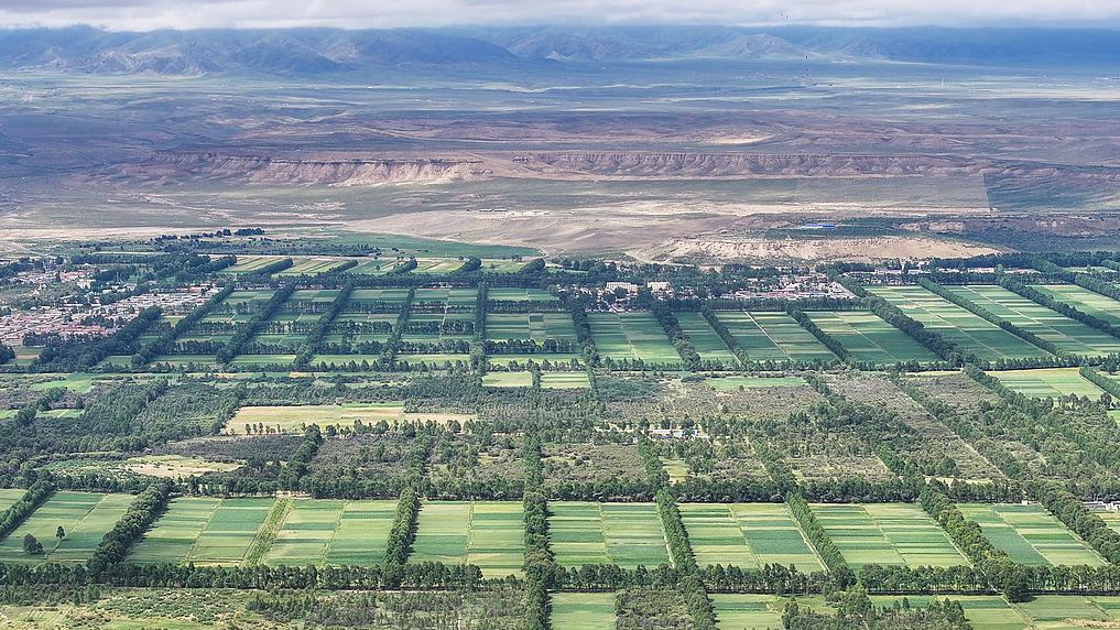 Aerial view of a desertification control site in Shazhuyu Township, Gonghe County, Hainan Prefecture, northwest China's Qinghai Province, as part of the sixth phase of the Three-North Shelterbelt Forest Program, August 5, 2025. /VCG