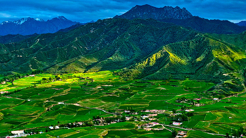 Qilian Mountain National Park, Zhangye City, Gansu Province, June 19, 2025. /VCG