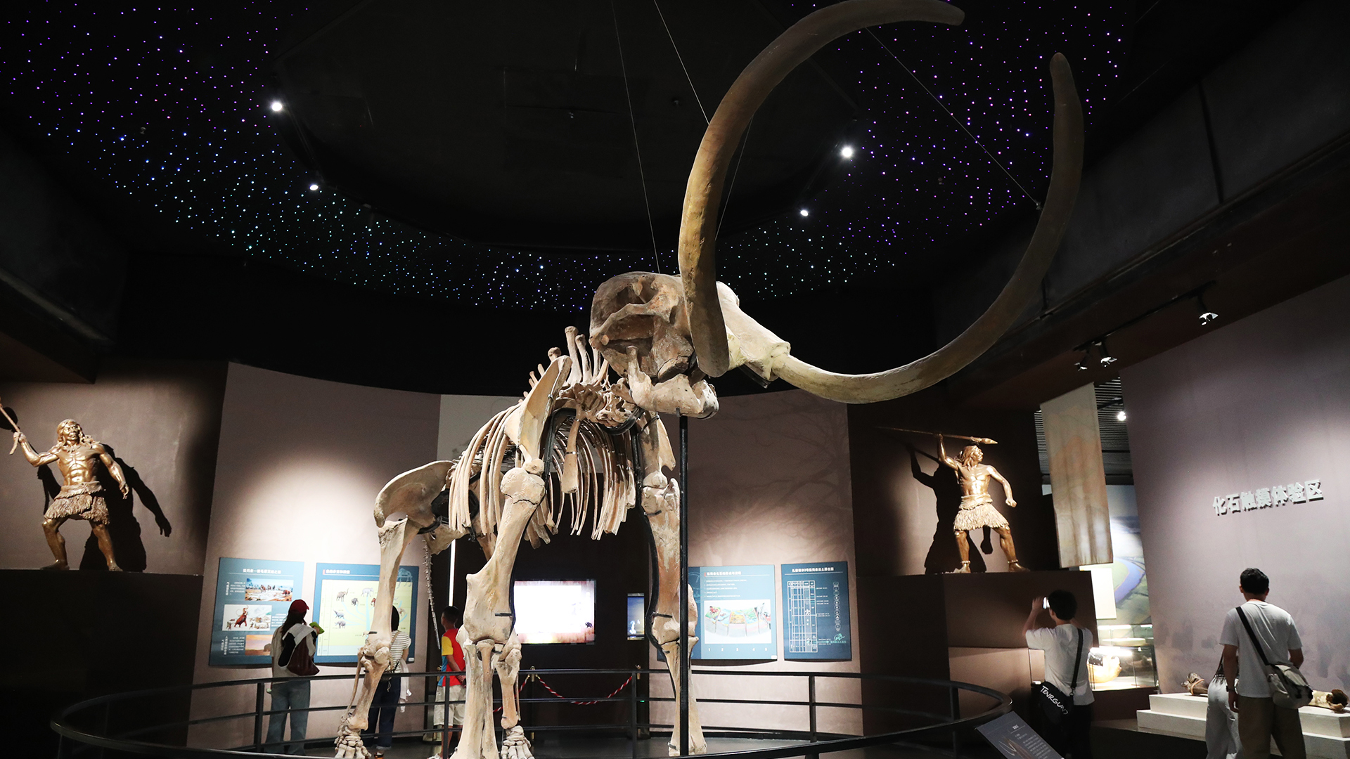 Meet a Mammoth at the Hulunbuir Historical Museum