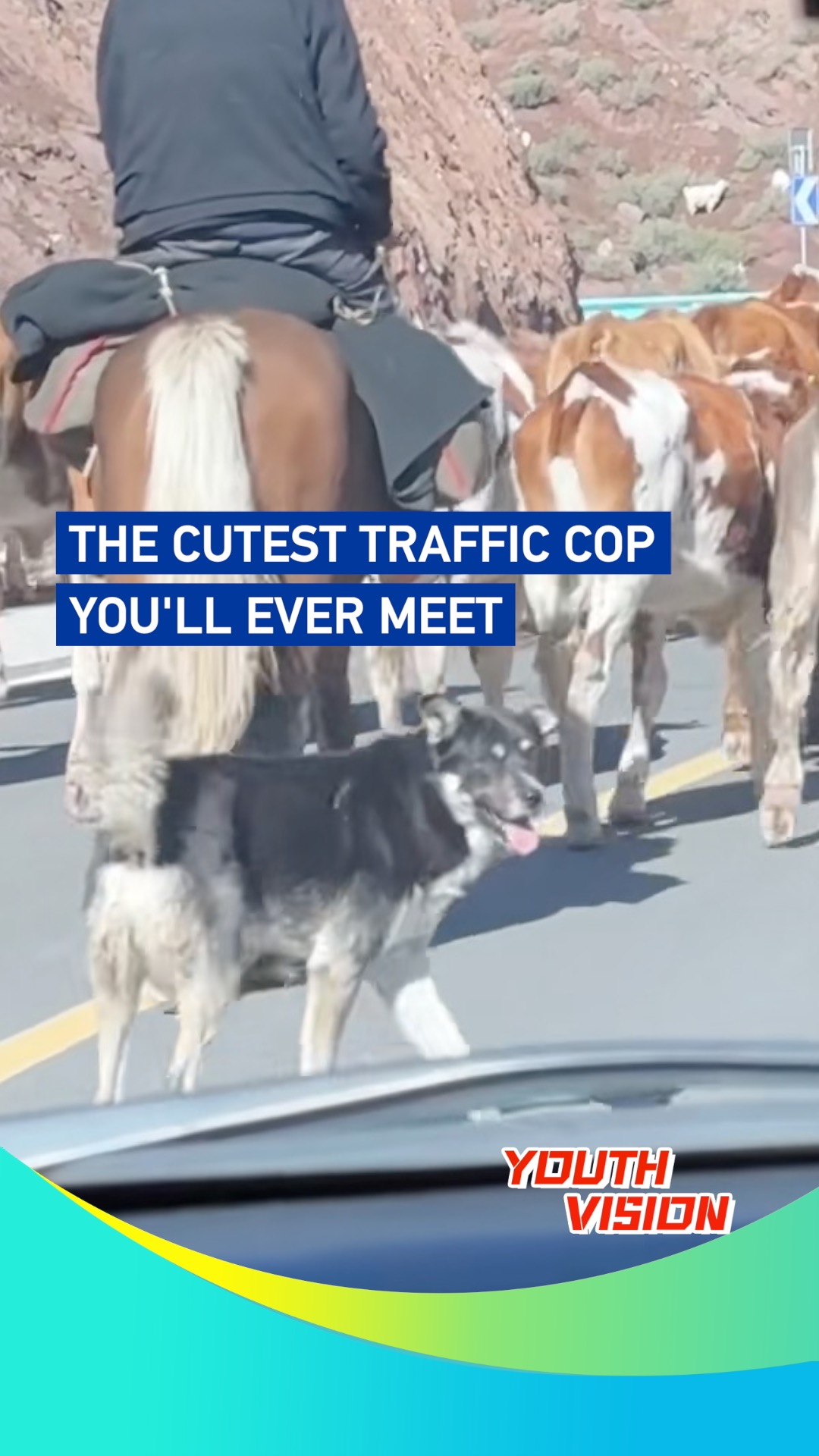 The cutest traffic cop you'll ever meet