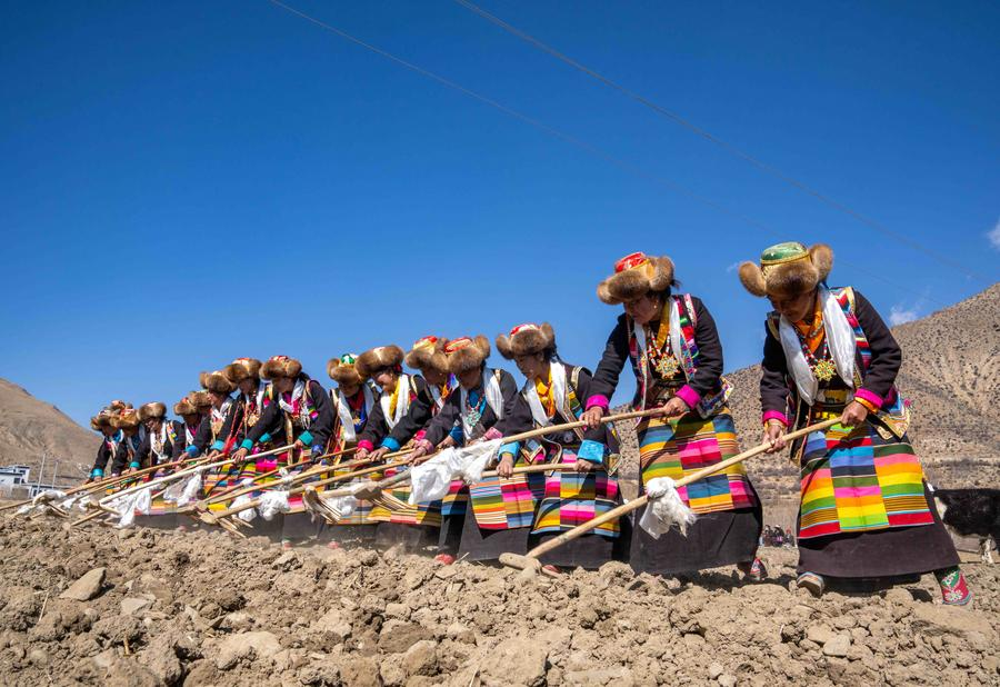 Farmers participate in a ceremony marking the start of spring farming in Gyaimain Village in Qonggyai County of Shannan, southwest China's Xizang Autonomous Region, March 16, 2024./Xinhua