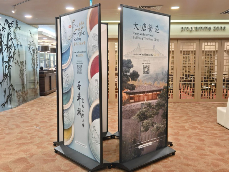 CGTN Art Series virtual exhibitions at Chinatown Library. /CGTN