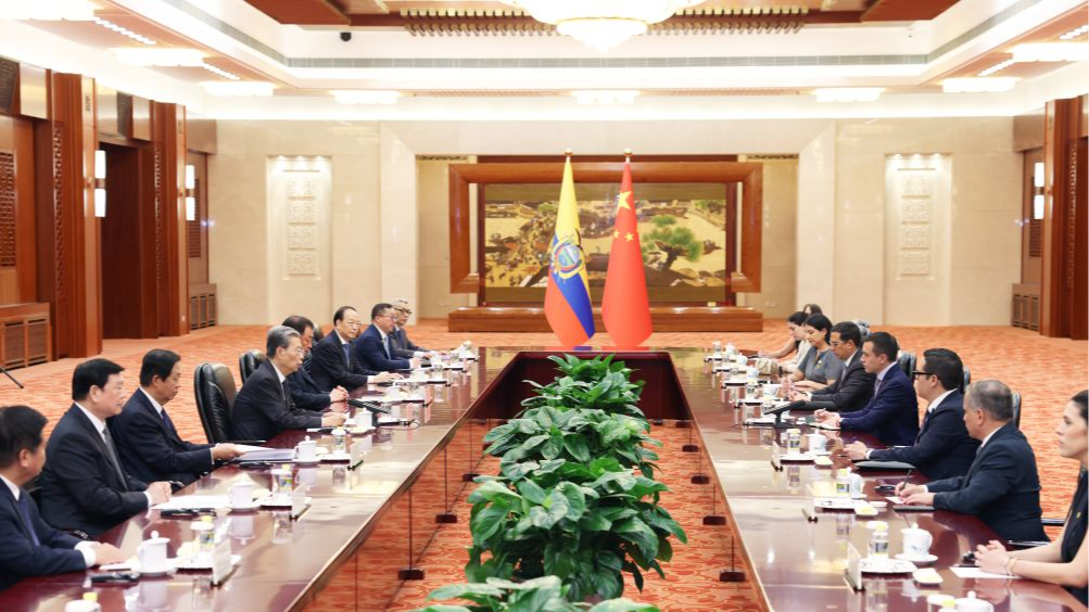 China's top legislator meets Ecuadorian president