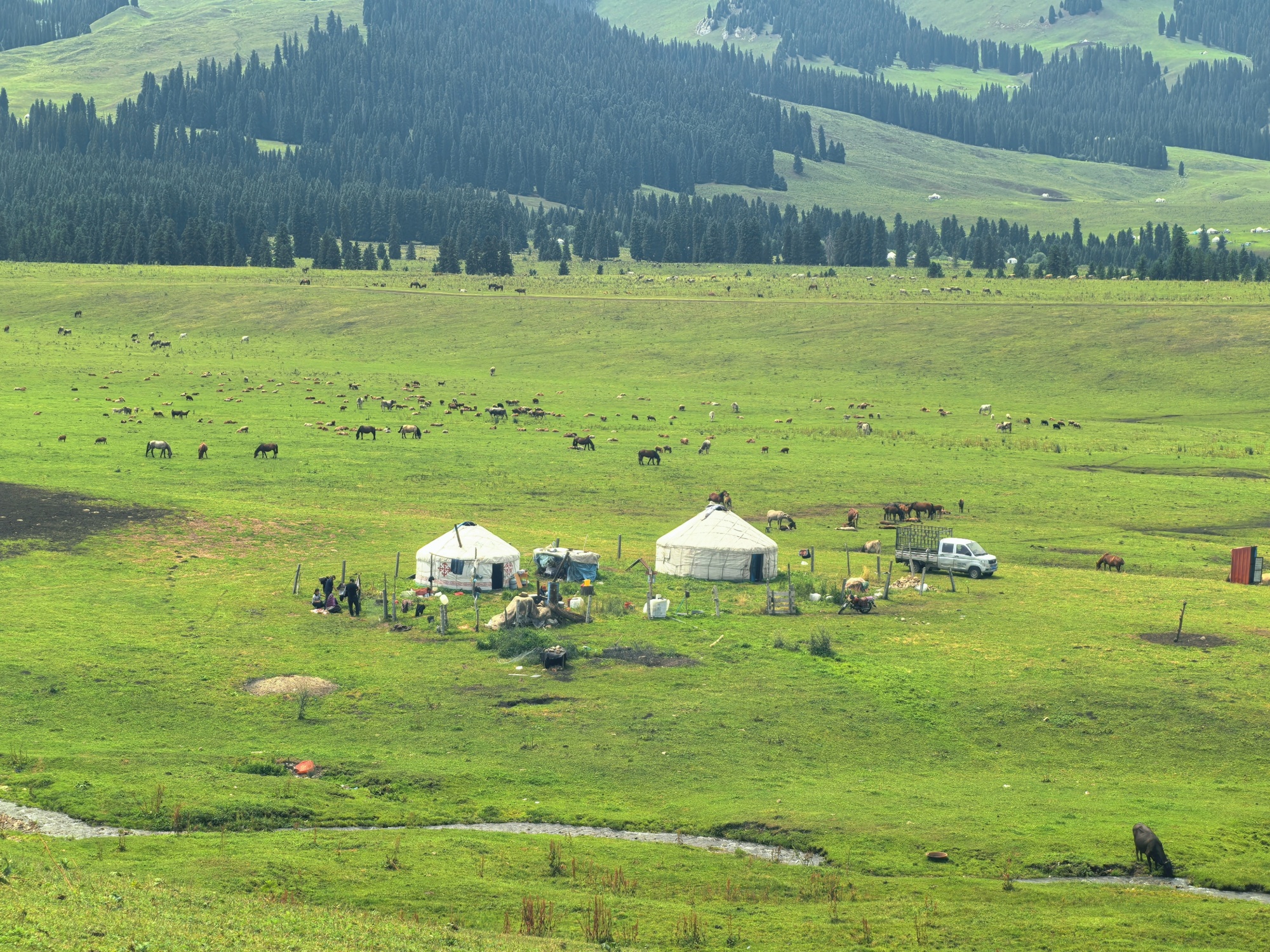 The Narat Grassland is seen in northwest China's Xinjiang Uygur Autonomous Region, on July 24, 2026. /CGTN