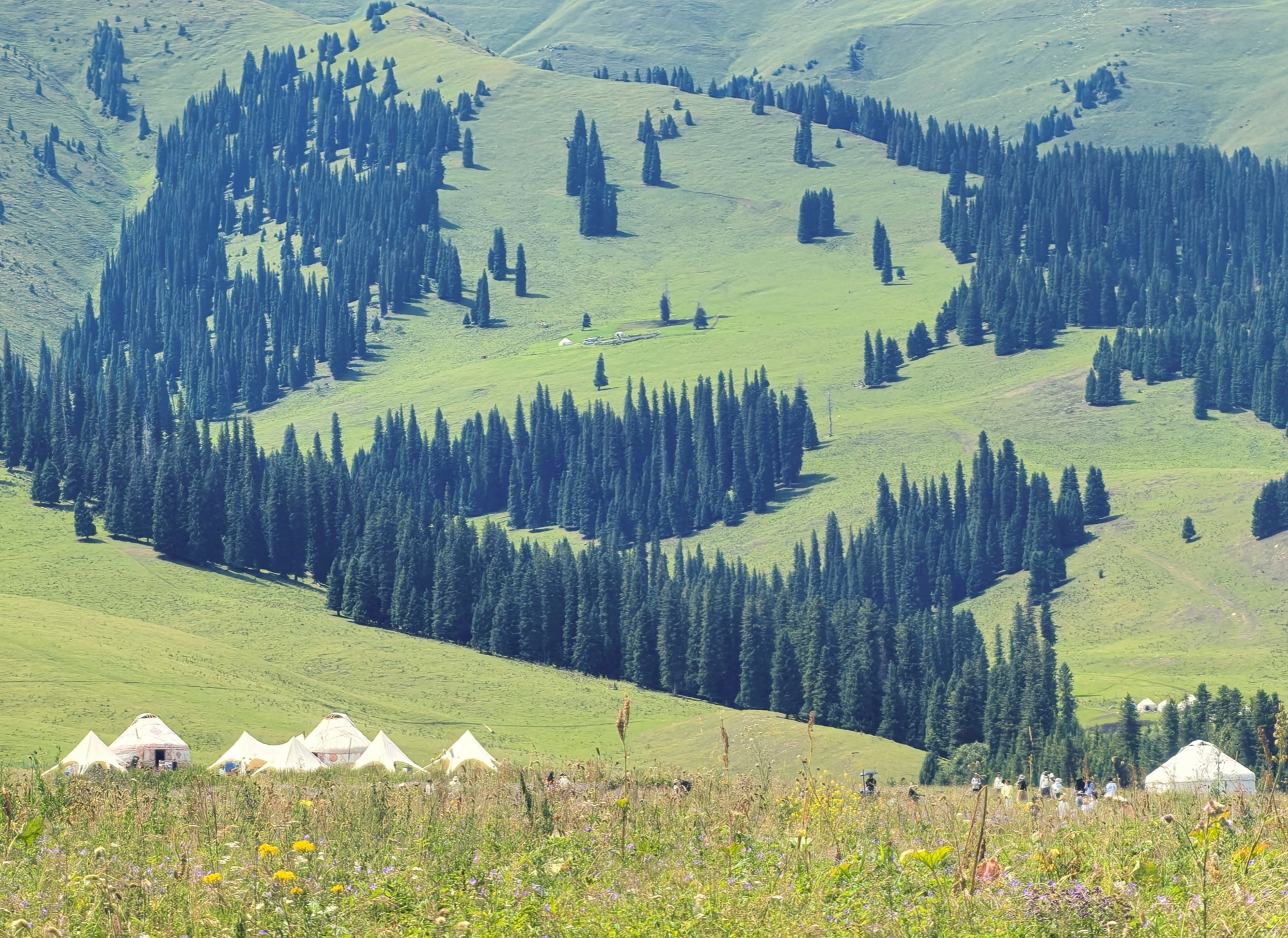 The Narat Grassland is seen in northwest China's Xinjiang Uygur Autonomous Region, on July 24, 2026. /CGTN