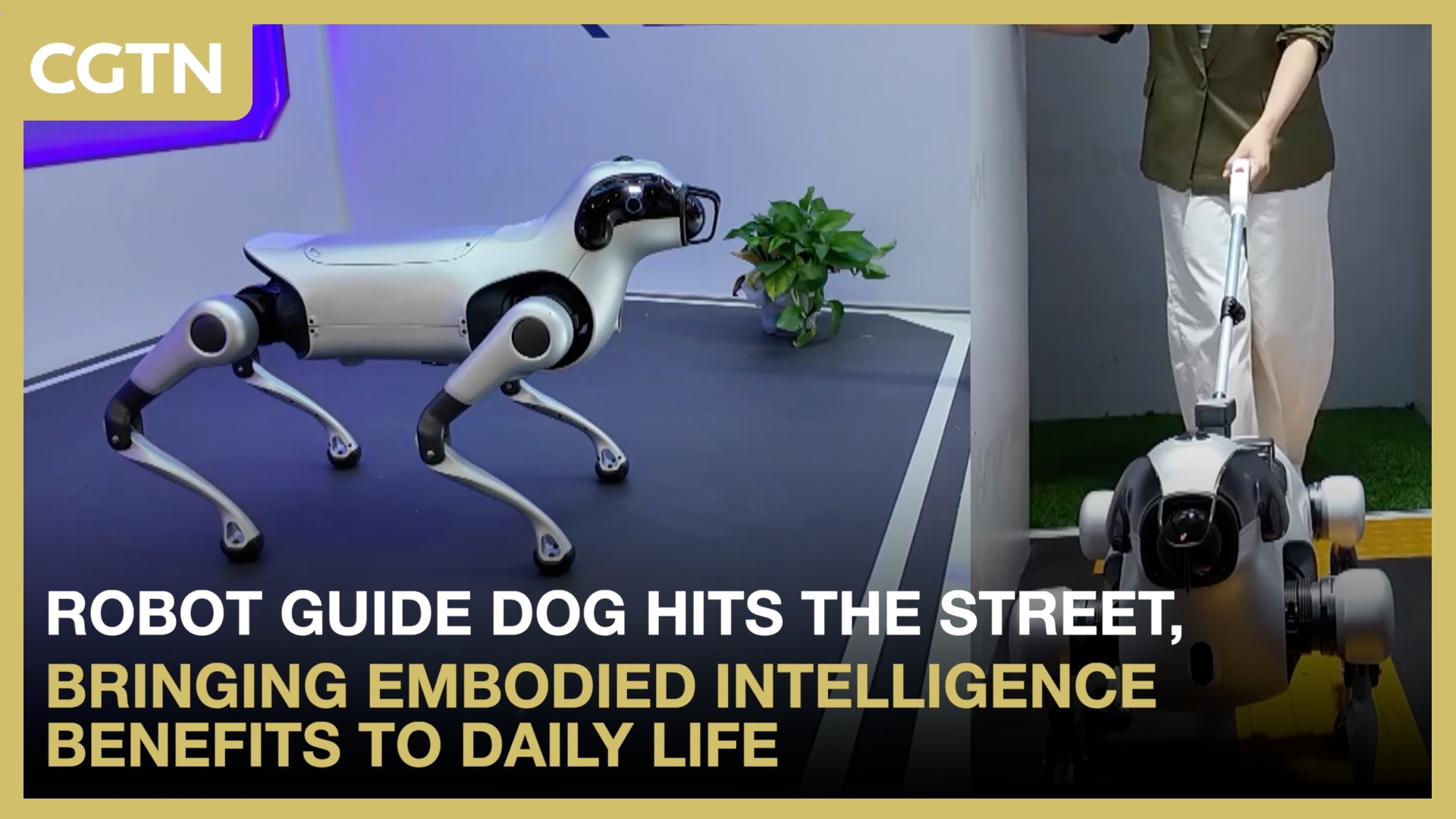 AI leads the way: Robot guide dog hits the streets