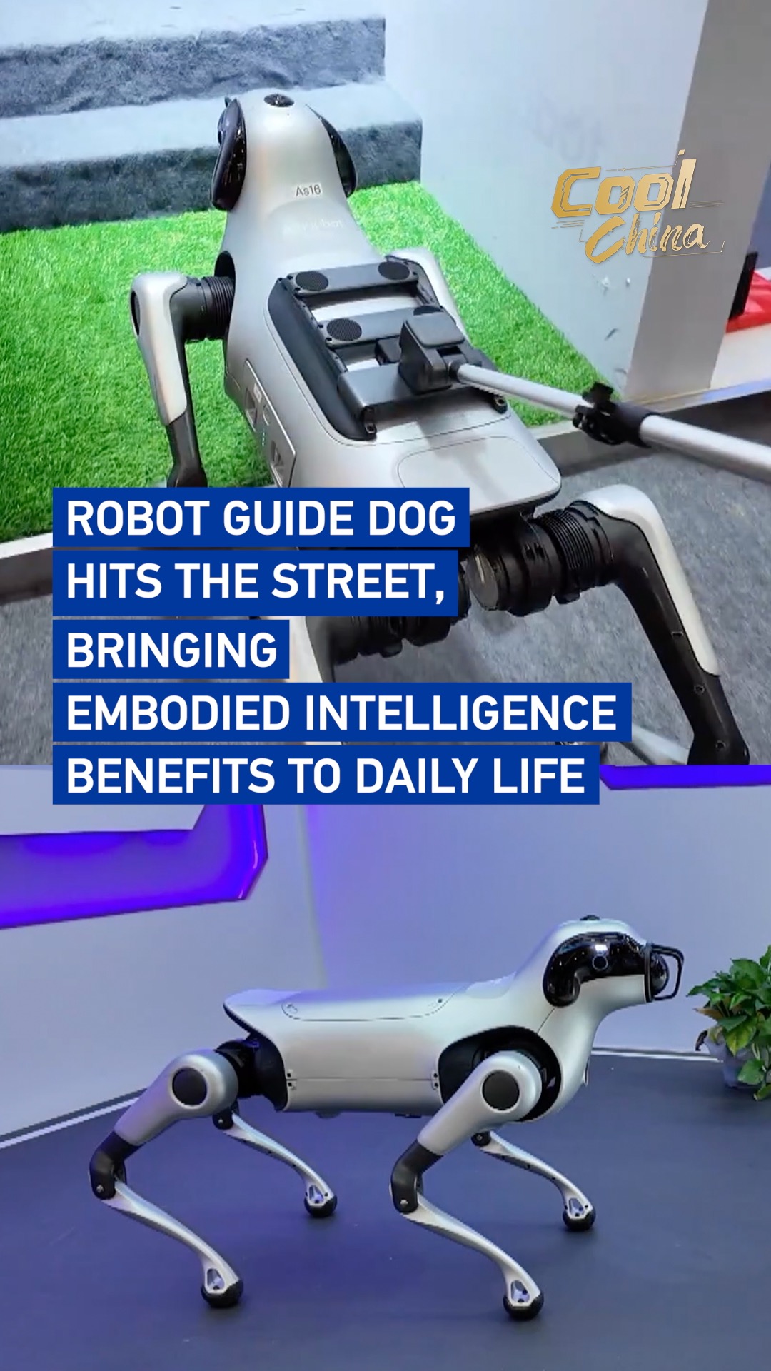 AI leads the way: Robot guide dog hits the streets