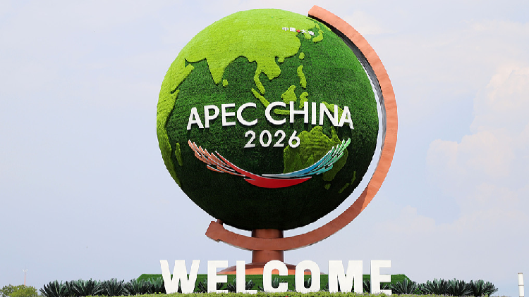 Chinese official calls for more APEC efforts to remove trade barriers