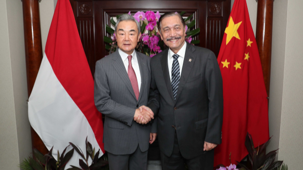 Wang Yi: China-Indonesia cooperation sets example for Global South