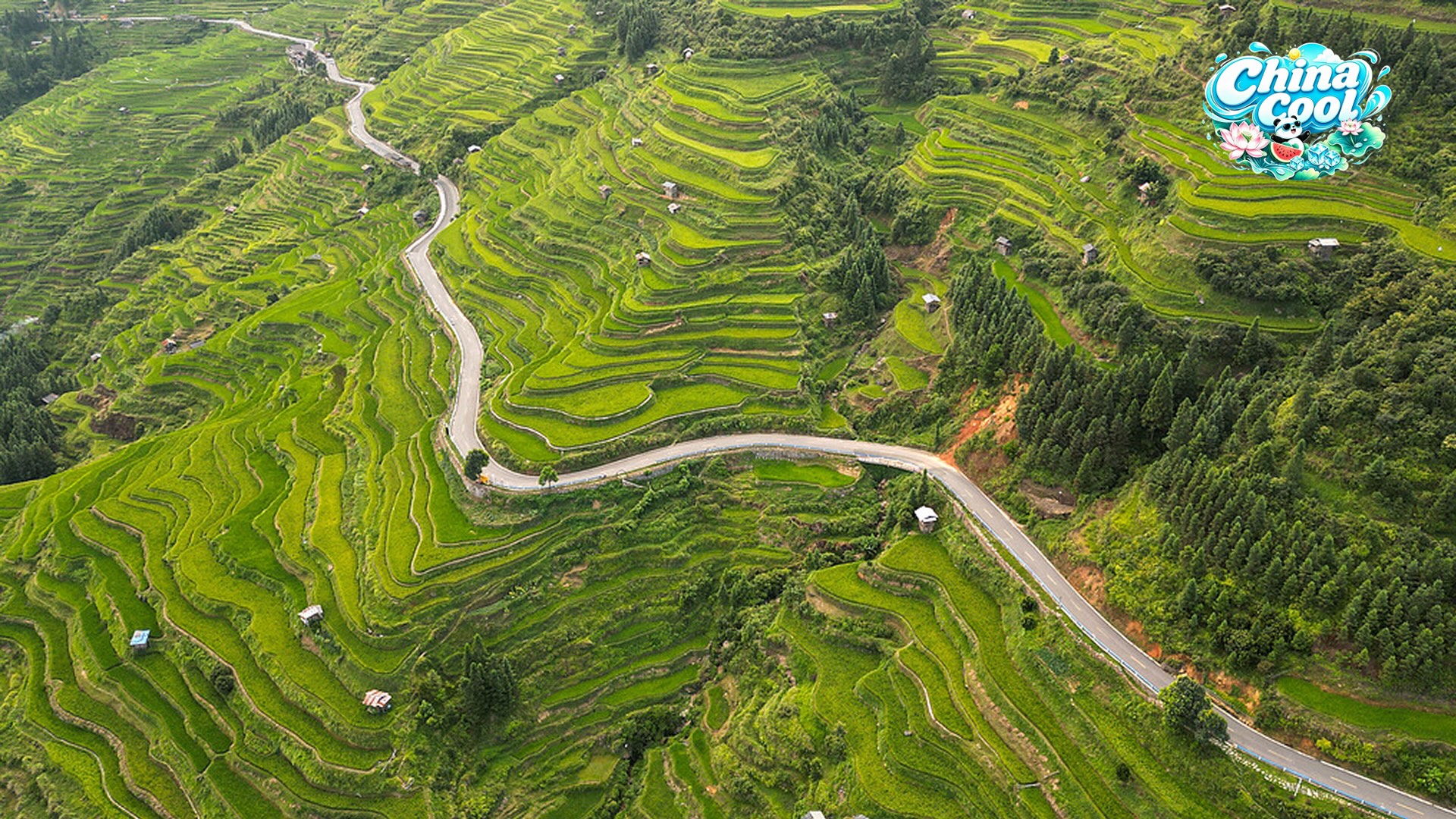 Live: Guizhou's dreamlike cascades – The cloud-veiled terraces of Jiabang in SW China – Ep. 3