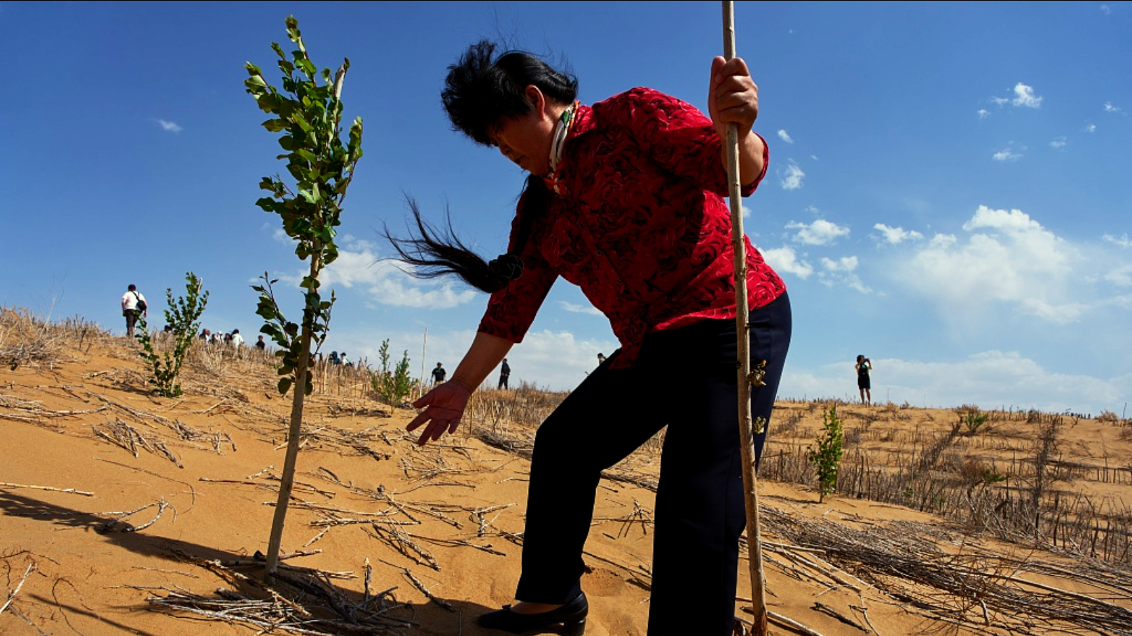 Meet the Chinese woman who battled the desert with an American's help