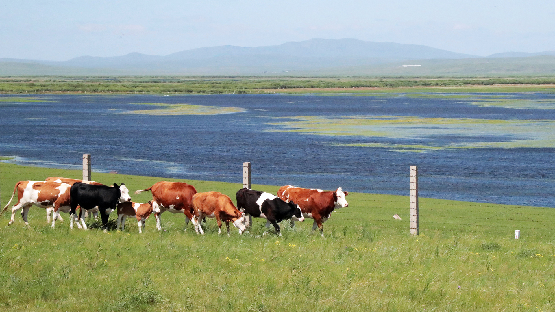 A scenic journey along the Ergun River in Hulunbuir