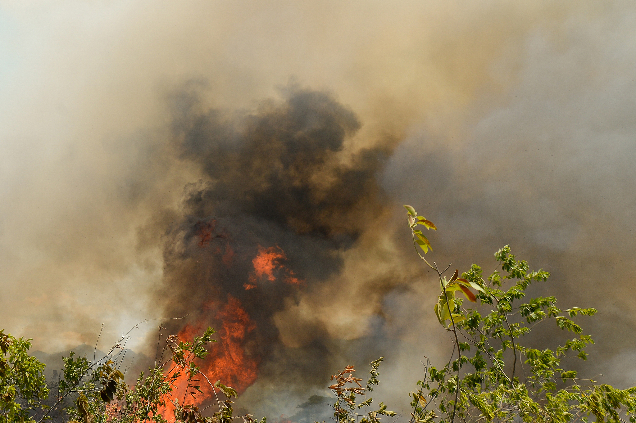 Flames and smoke rise from one of the forest fires in Chaguala, Tolima province, Colombia, August 23, 2026. /VCG