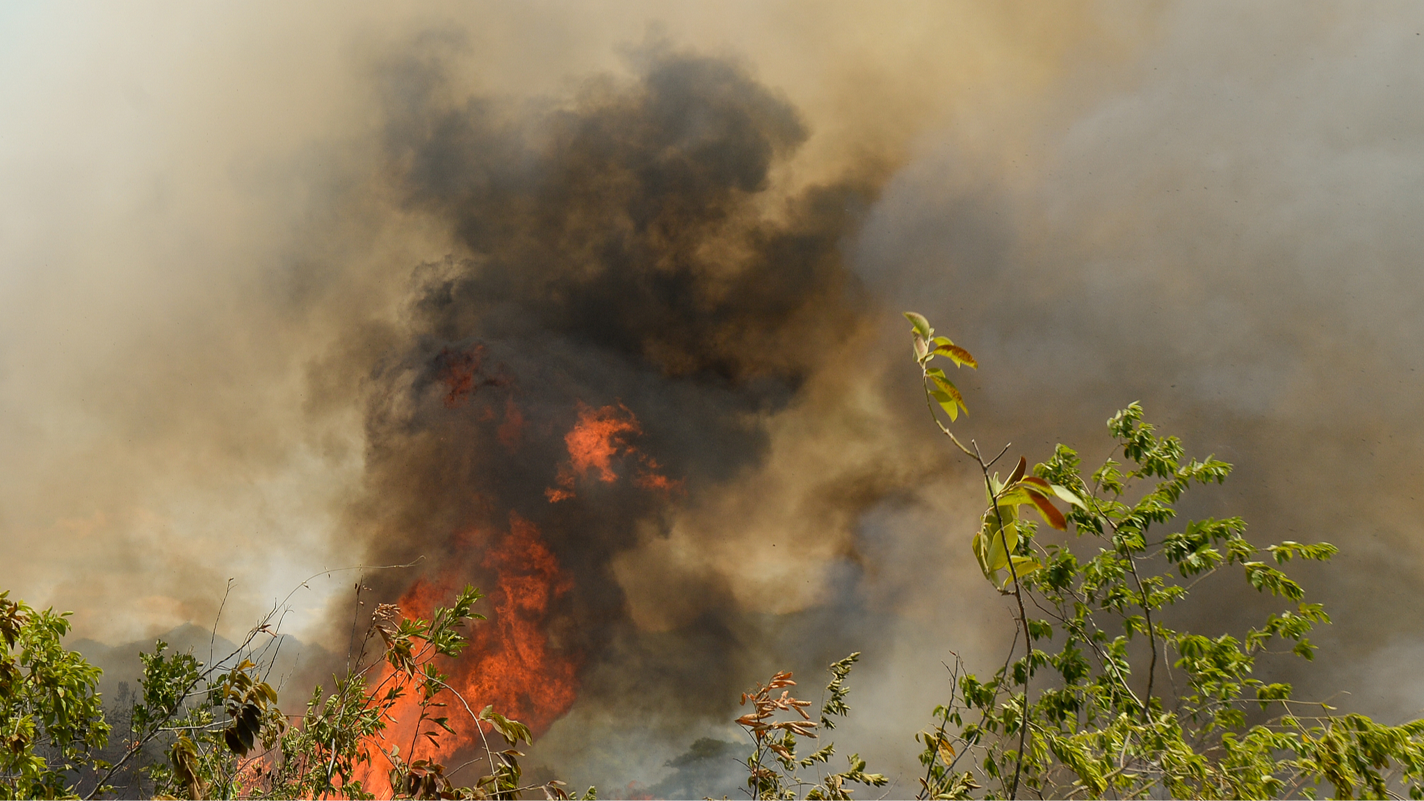 Wildfires intensify in Colombia amid El Nino conditions