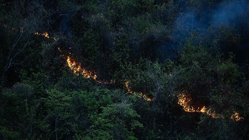 A view of a wildfire in Coello, Tolima department, Colombia, August 25, 2026. /VCG