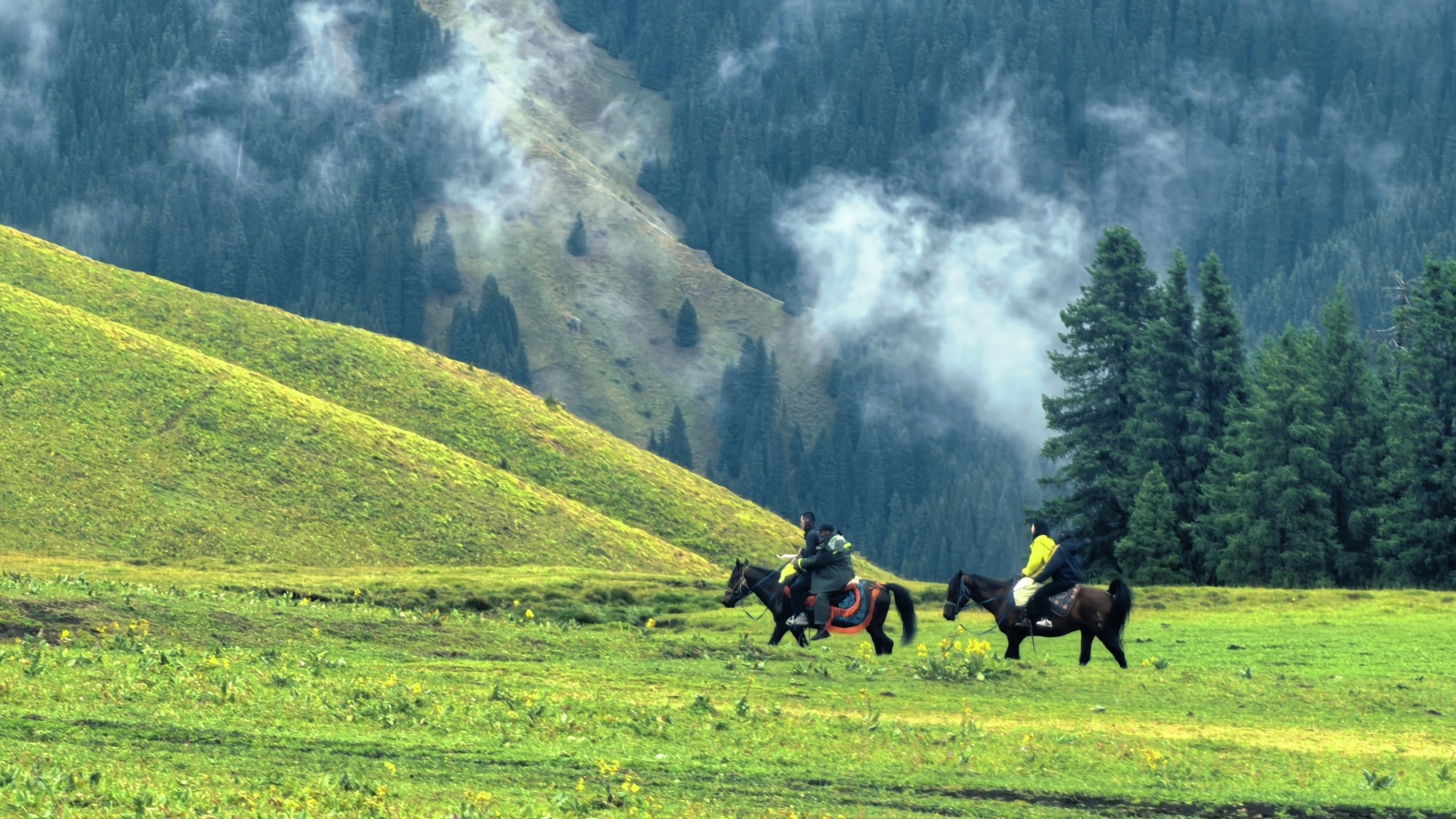 Kalajun Grassland after the rain