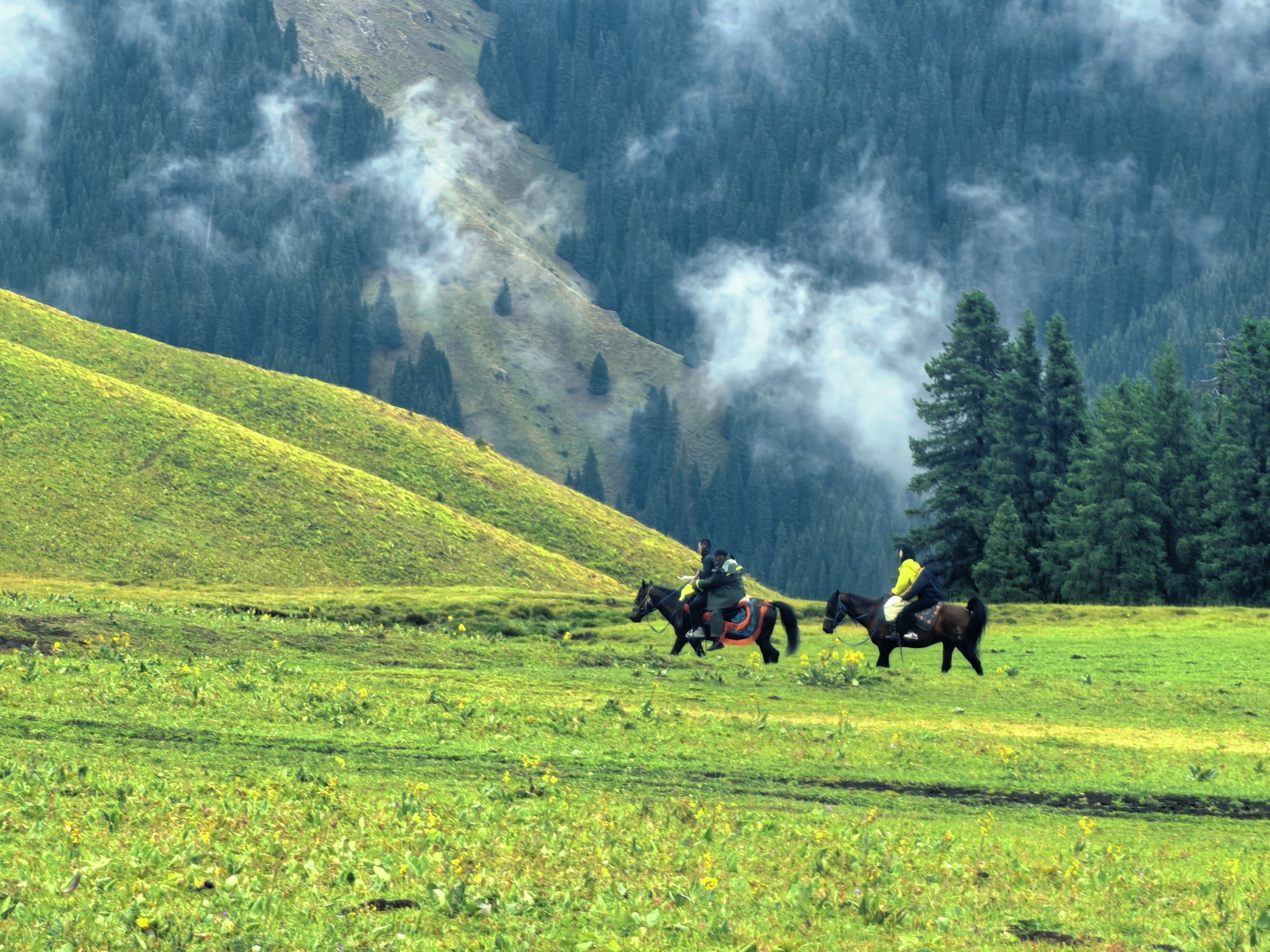 A view of Kalajun Grassland after the rain is seen in Tekes County, northwest China's Xinjiang Uygur Autonomous Region, on July 22, 2026. /CGTN