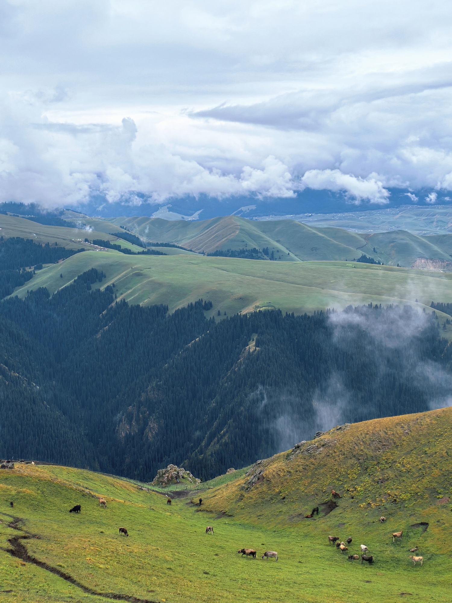 A view of Kalajun Grassland after the rain is seen in Tekes County, northwest China's Xinjiang Uygur Autonomous Region, on July 22, 2026. /CGTN