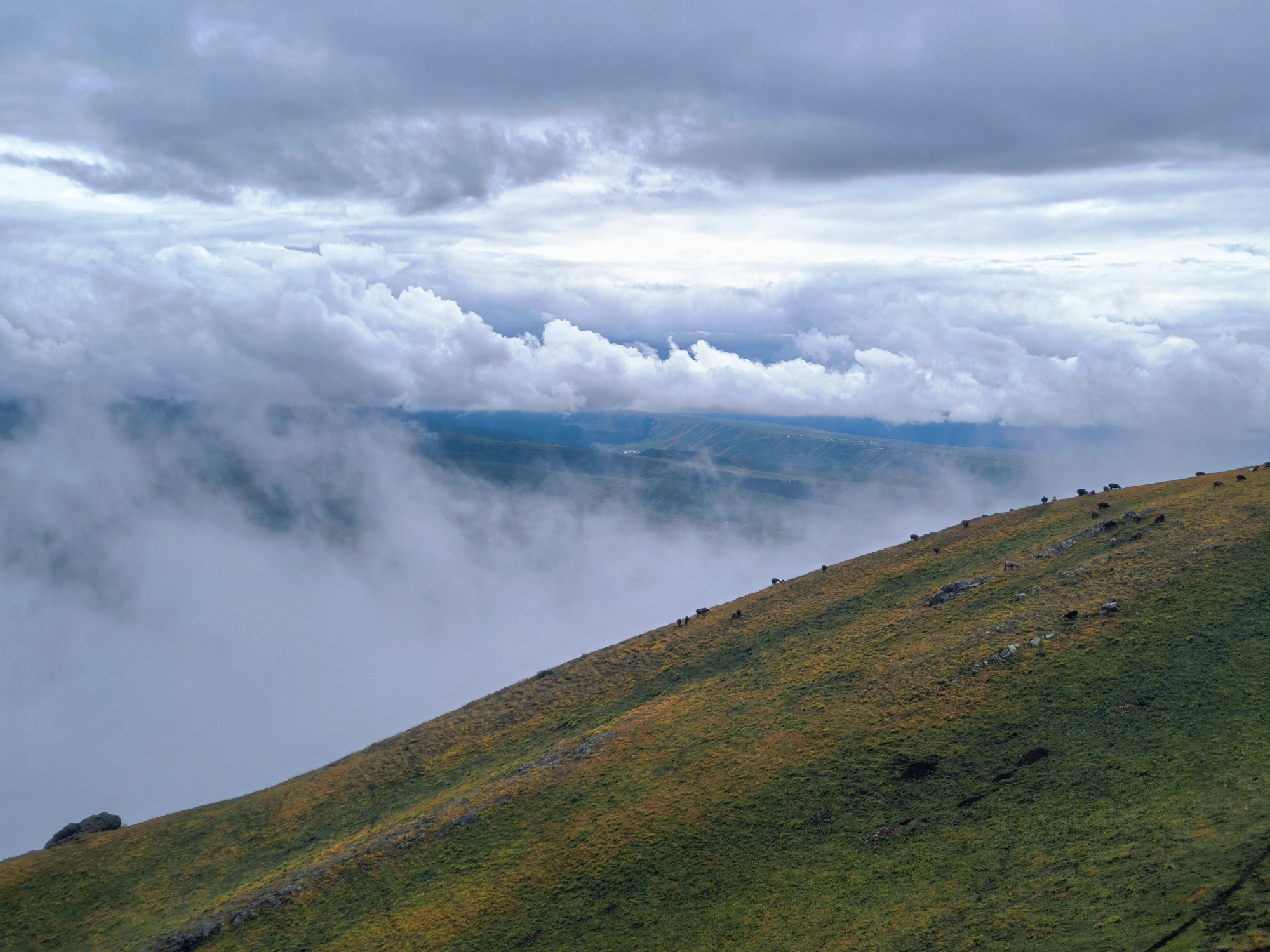 A view of Kalajun Grassland after the rain is seen in Tekes County, northwest China's Xinjiang Uygur Autonomous Region, on July 22, 2026. /CGTN