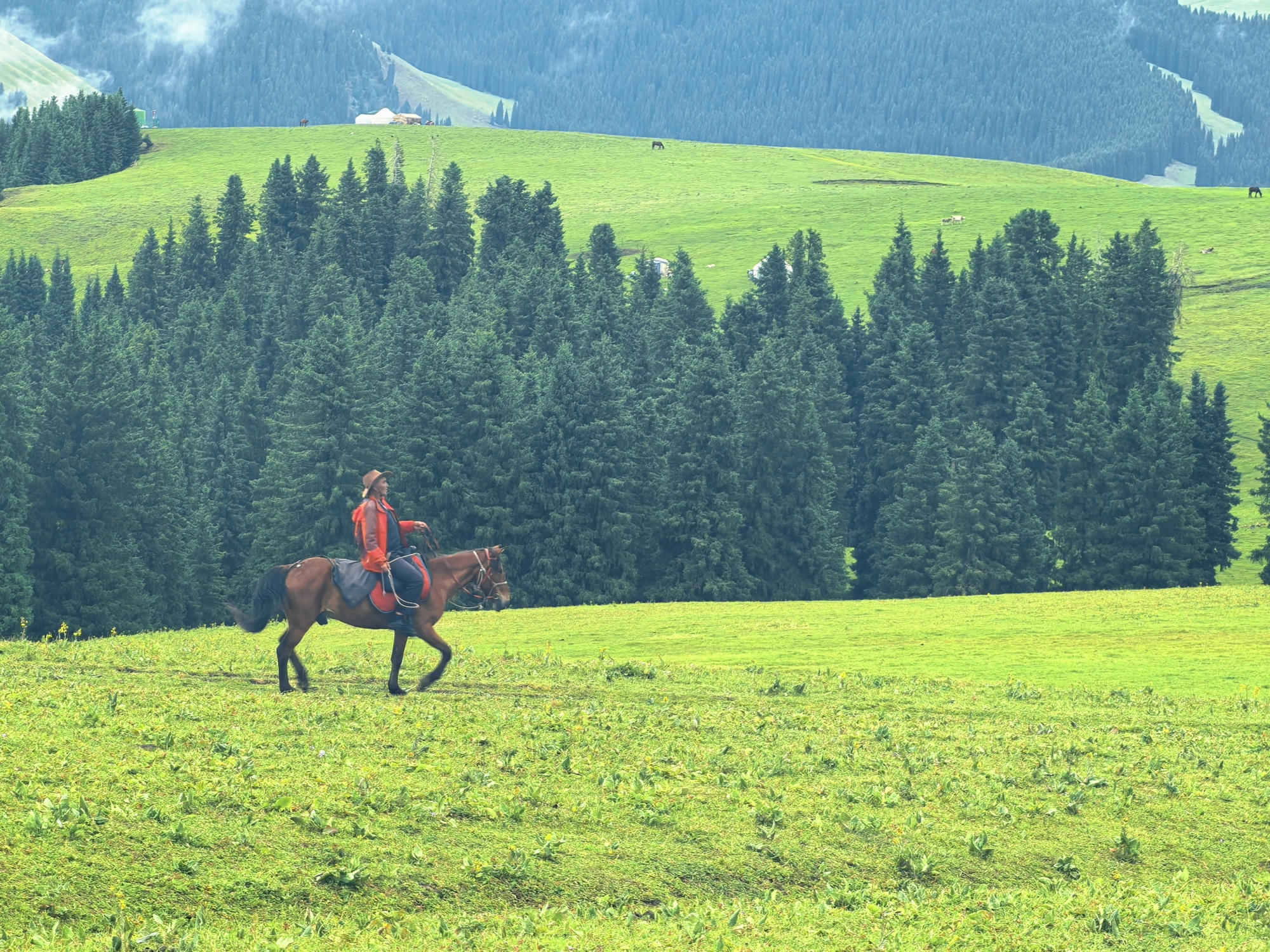 A view of Kalajun Grassland after the rain is seen in Tekes County, northwest China's Xinjiang Uygur Autonomous Region, on July 22, 2026. /CGTN