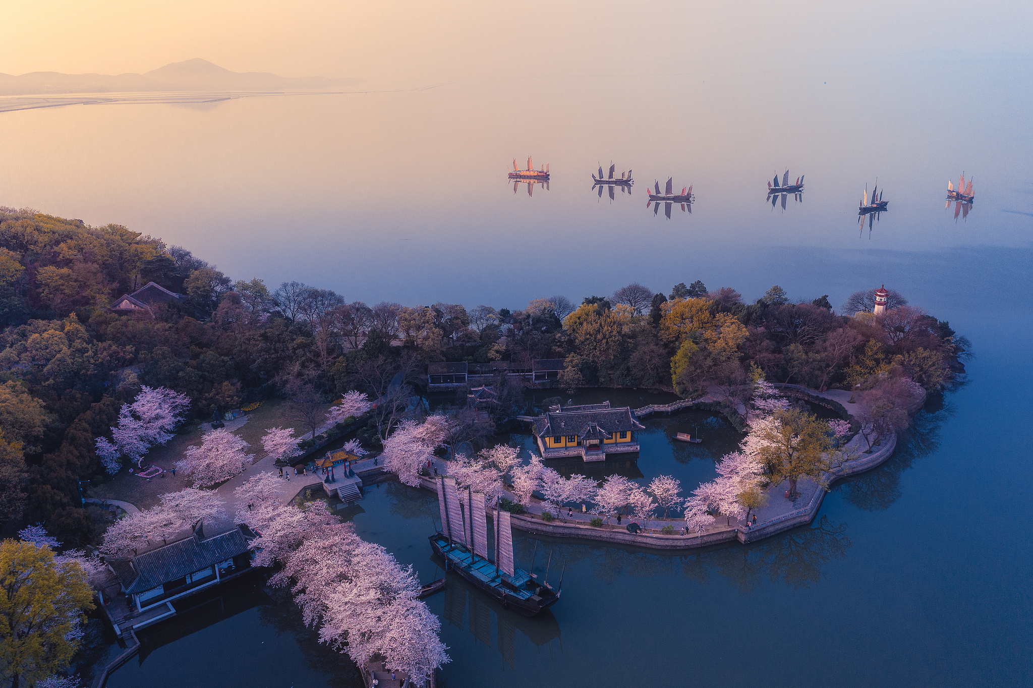 Cherry blossoms at Yuantouzhu at Taihu Lake, Wuxi, Jiangsu Province, east China. /VCG