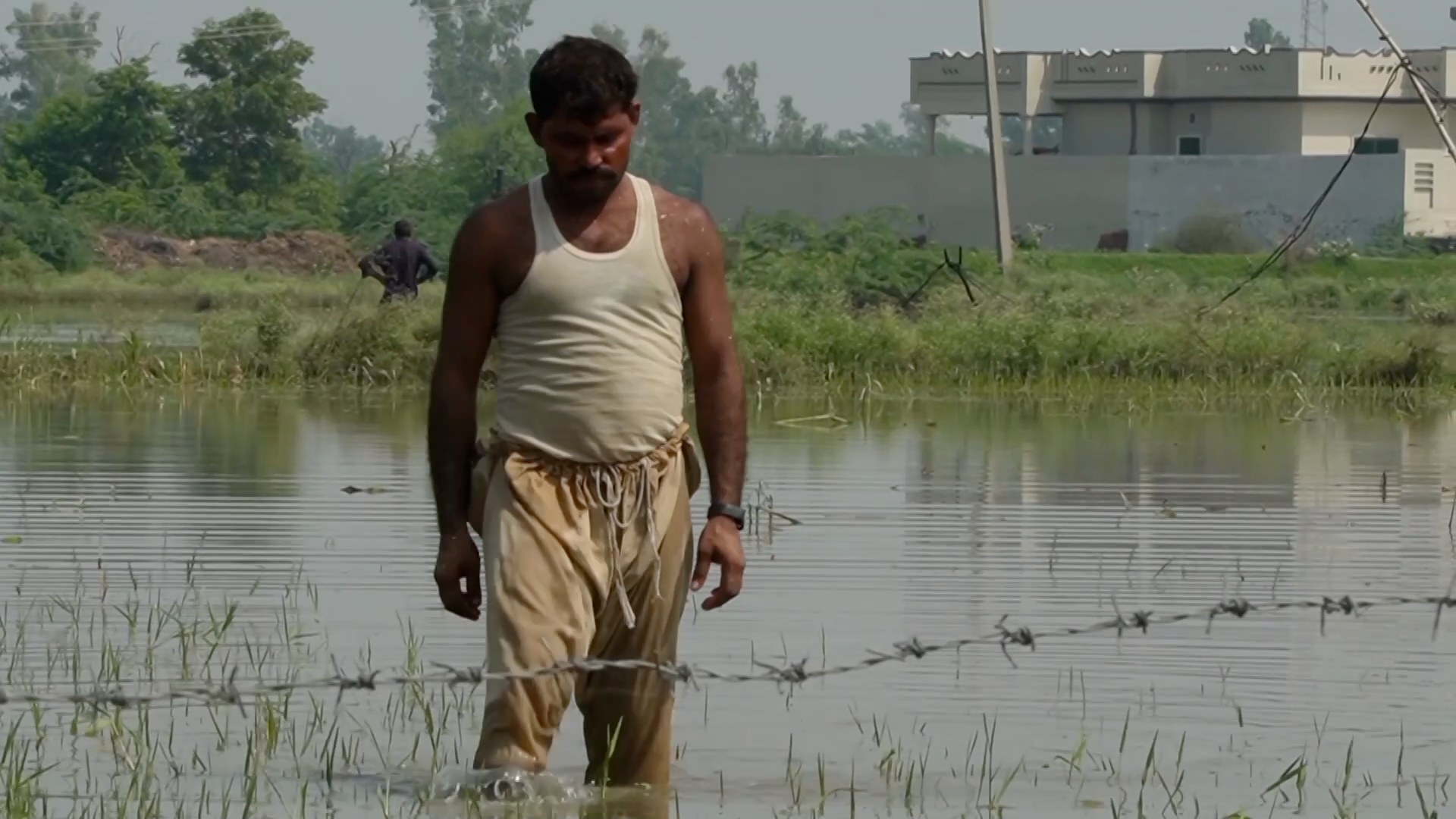 Rain wiped out rice harvest in Pakistan in July of 2025./CGTN