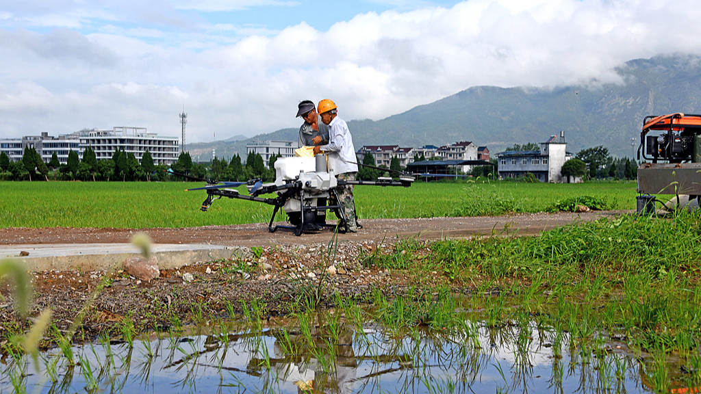 China expands insect radar network for early crop pest warnings