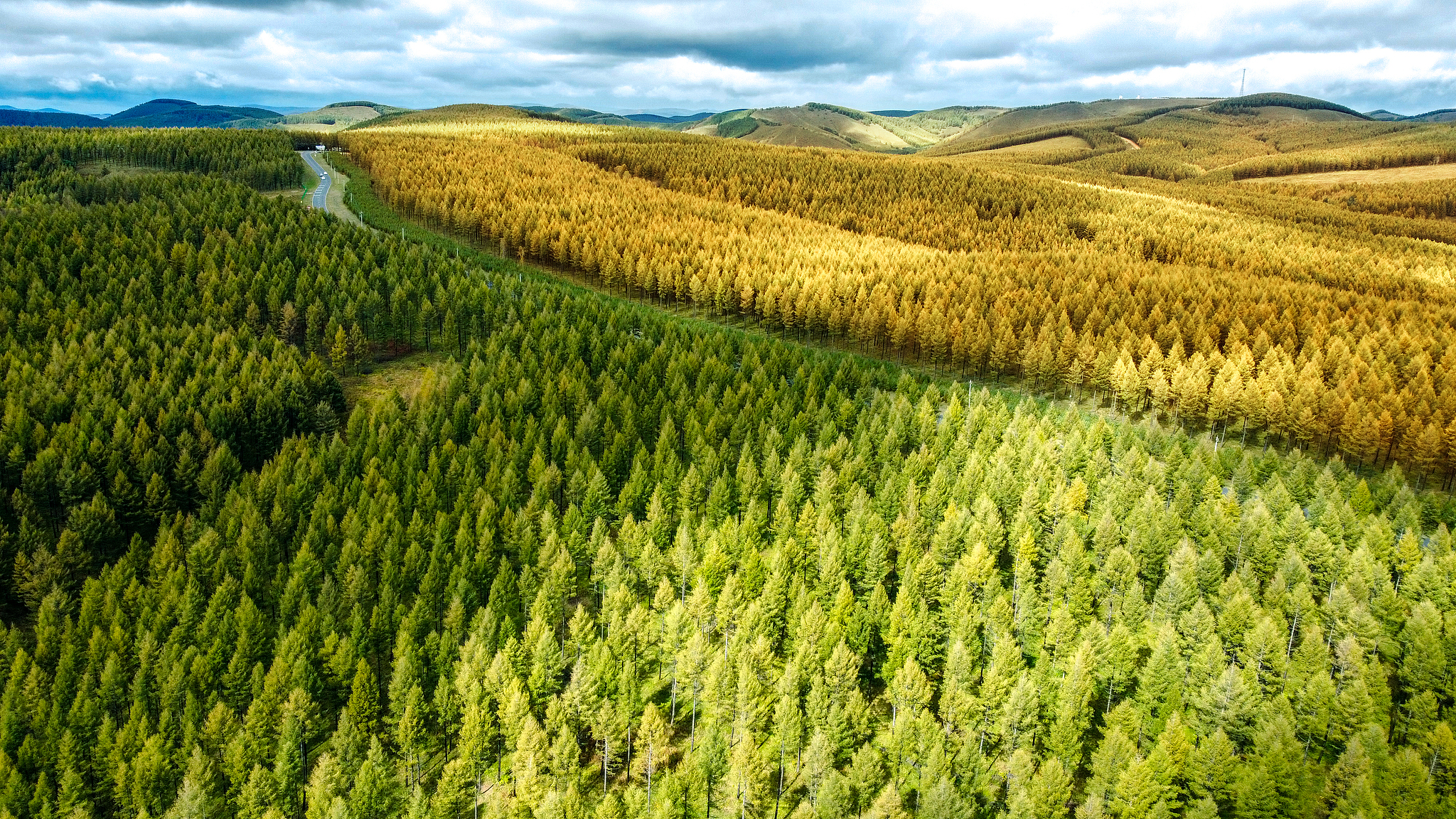 Saihanba Mechanized Forest Farm in Hebei Province, part of China's Three-North Shelterbelt Program. /VCG