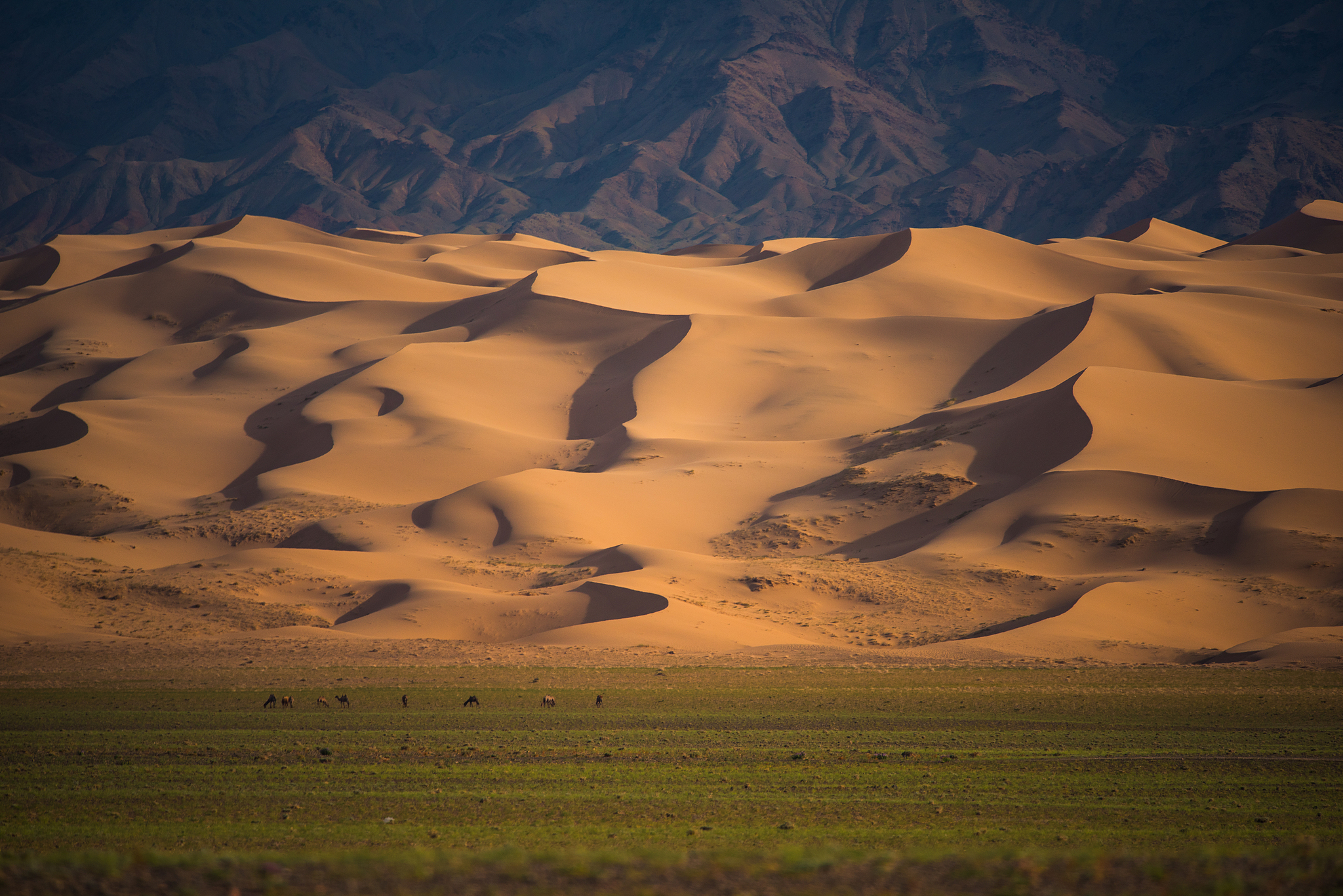 A desert landscape in Mongolia. /VCG