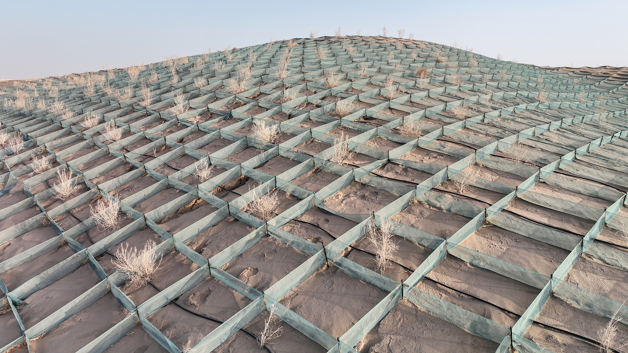 Sand-control nets and straw checkerboards on dunes in Jiuquan, Gansu Province, northwest China, January 22, 2026. /VCG
