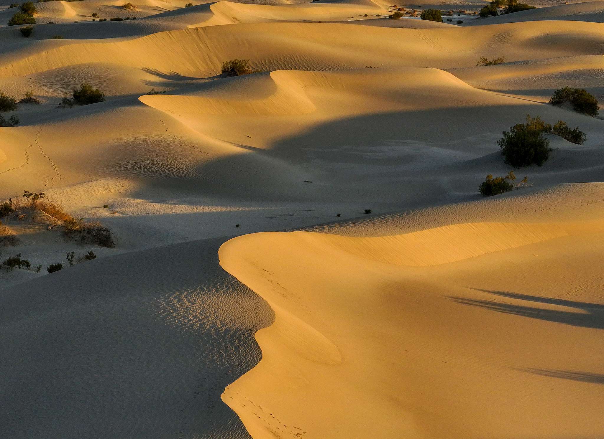 A view of Mesquite Flat Sand Dunes as the temperature shows 46 degrees Celsius in Death Valley National Park of California, the United States, July 17, 2025. /VCG