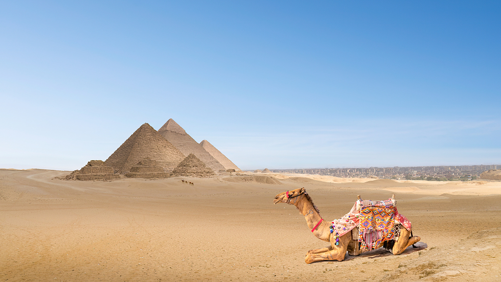 BizDataDive: China-Egypt ties are taking off