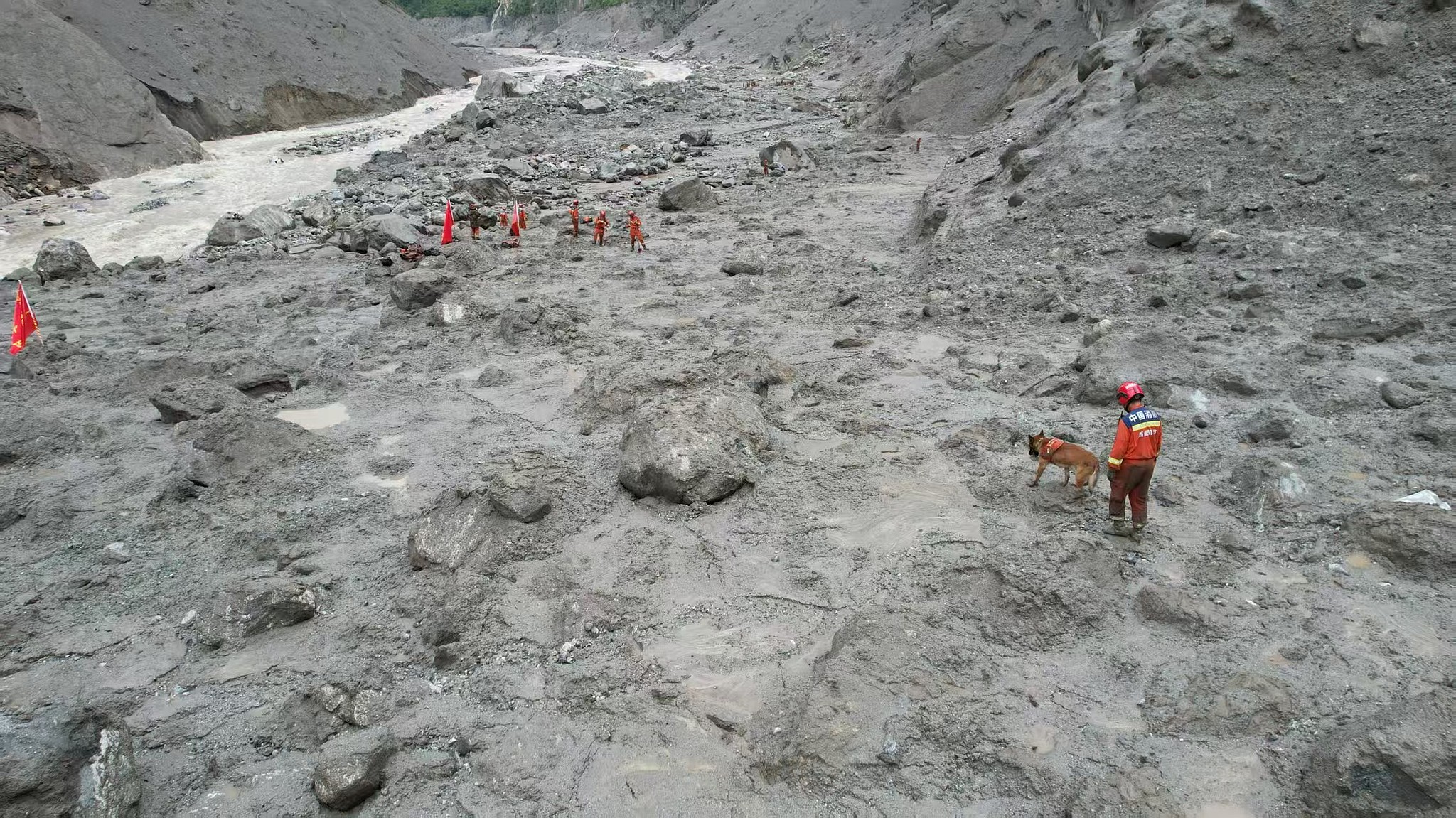 Rescuers and search-and-rescue dogs conduct search operations in the core disaster zone at Gyirong Port in southwest China's Xizang Autonomous Region on August 29, 2026. /VCG
