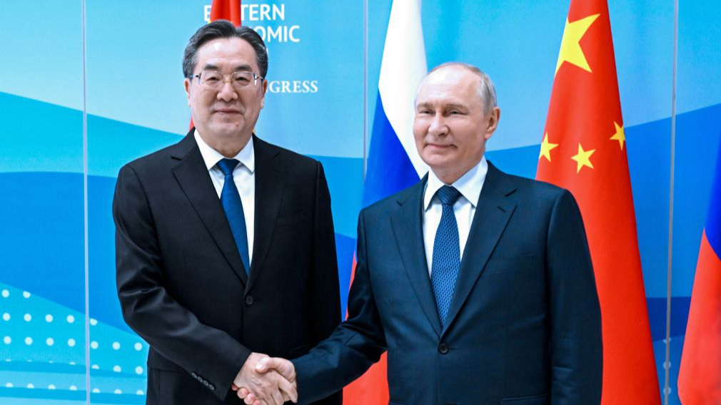 Chinese vice premier meets Putin