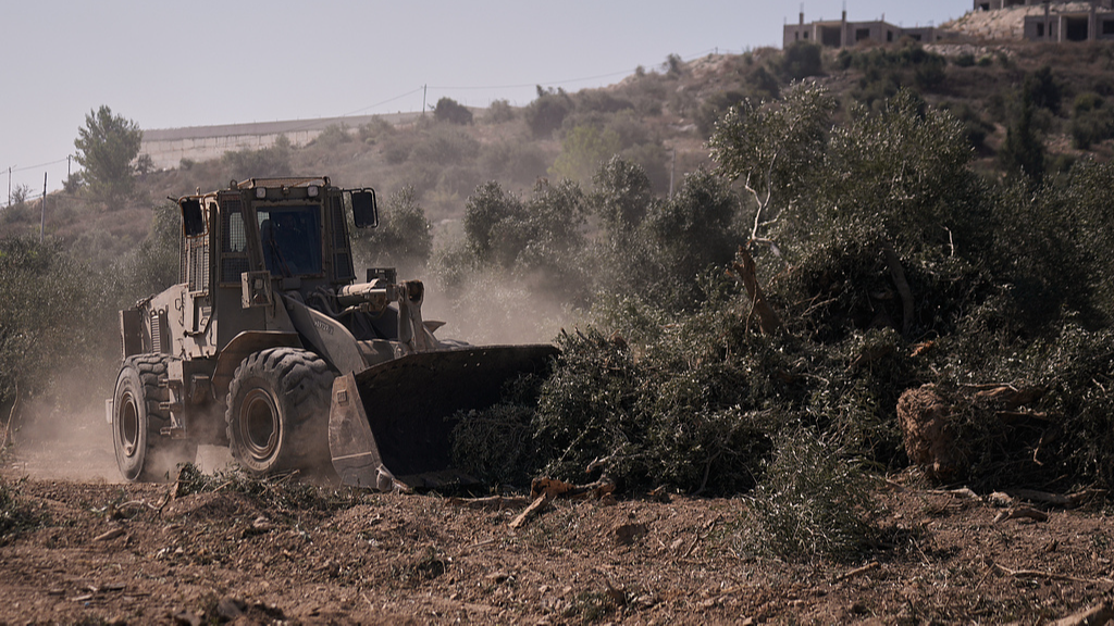 An Israeli military bulldozer uproots olive trees on a Palestinian farm area in the village of Arraba, near the West Bank city of Jenin, September 2, 2026. /VCG