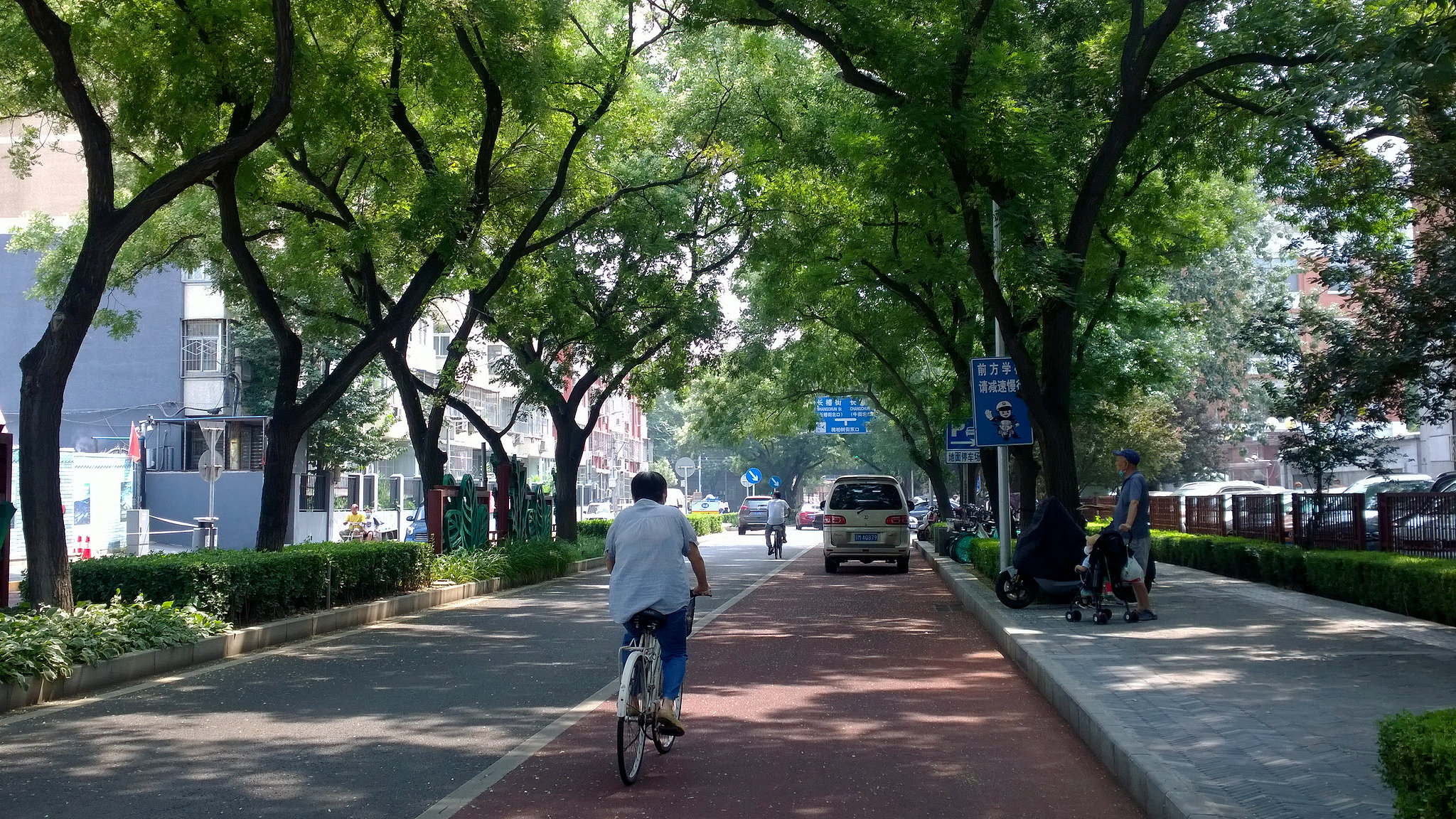 A cyclist rides beneath a dense tree canopy along a Beijing street, where natural shade transforms ordinary roads into cool, inviting corridors for walking and cycling. /VCG