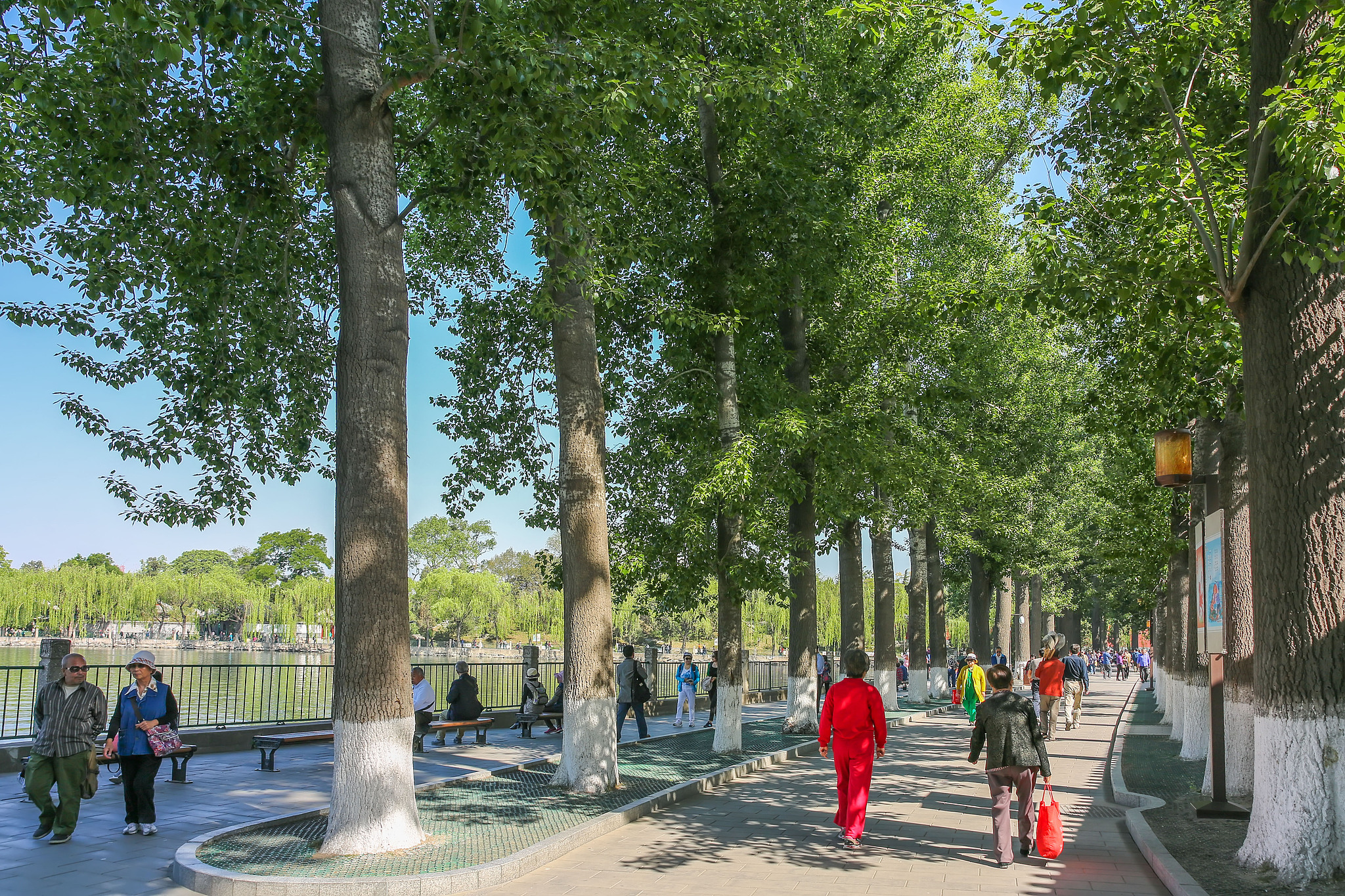 Visitors stroll along a shaded lakeside path at Beihai Park in Beijing, where dense tree canopies and waterfront paths offer a cool, inviting space for everyday walks and leisure. /VCG