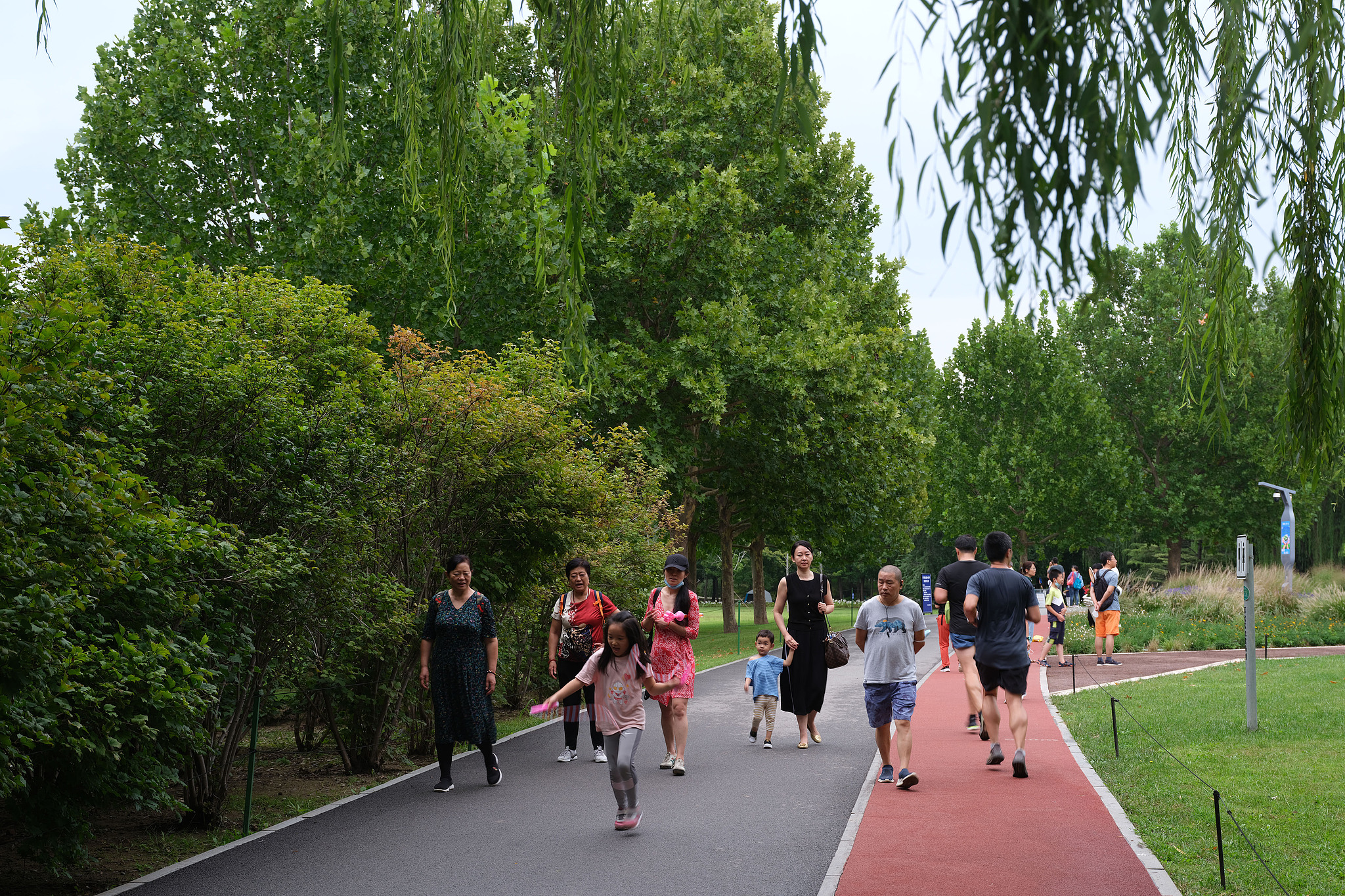 Haidian Park in Beijing, brings together runners, families and walkers of all generations, showing how urban green spaces turn everyday movement into an inviting part of city life. /VCG