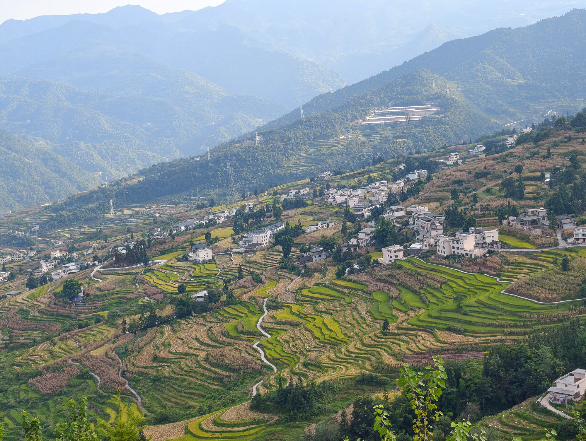 The terraces that paint themselves