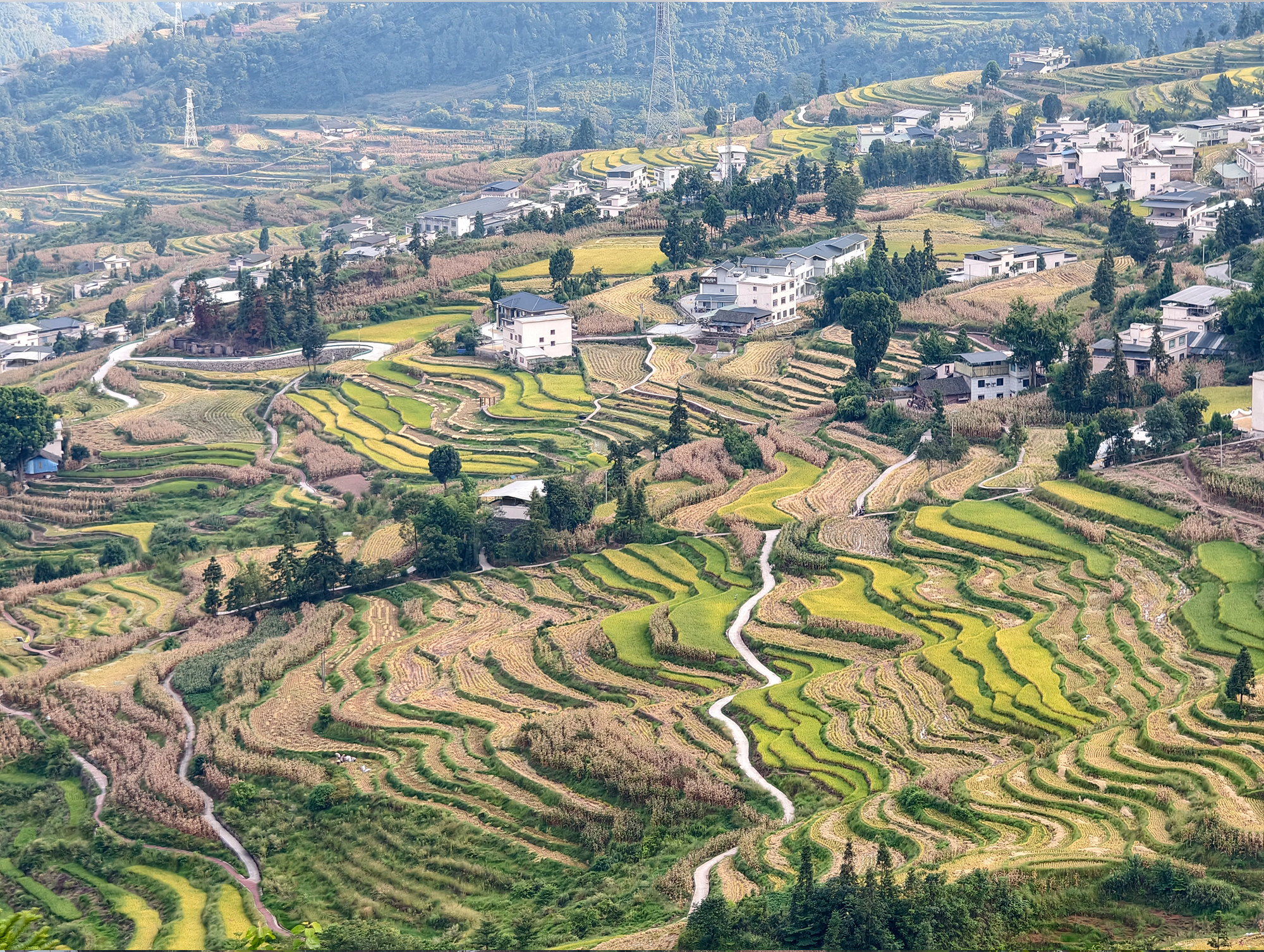 The terraces that paint themselves