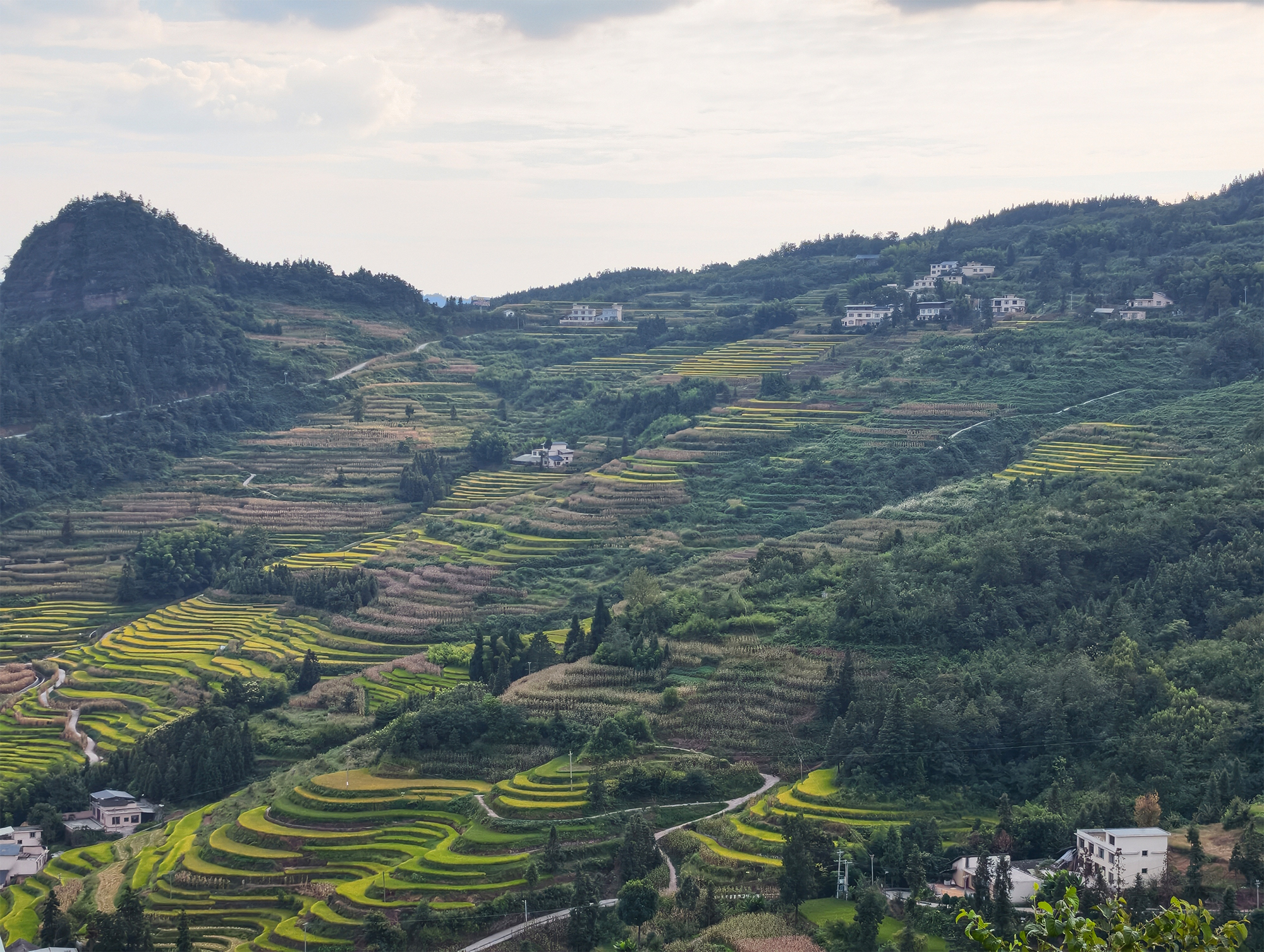 The terraces that paint themselves