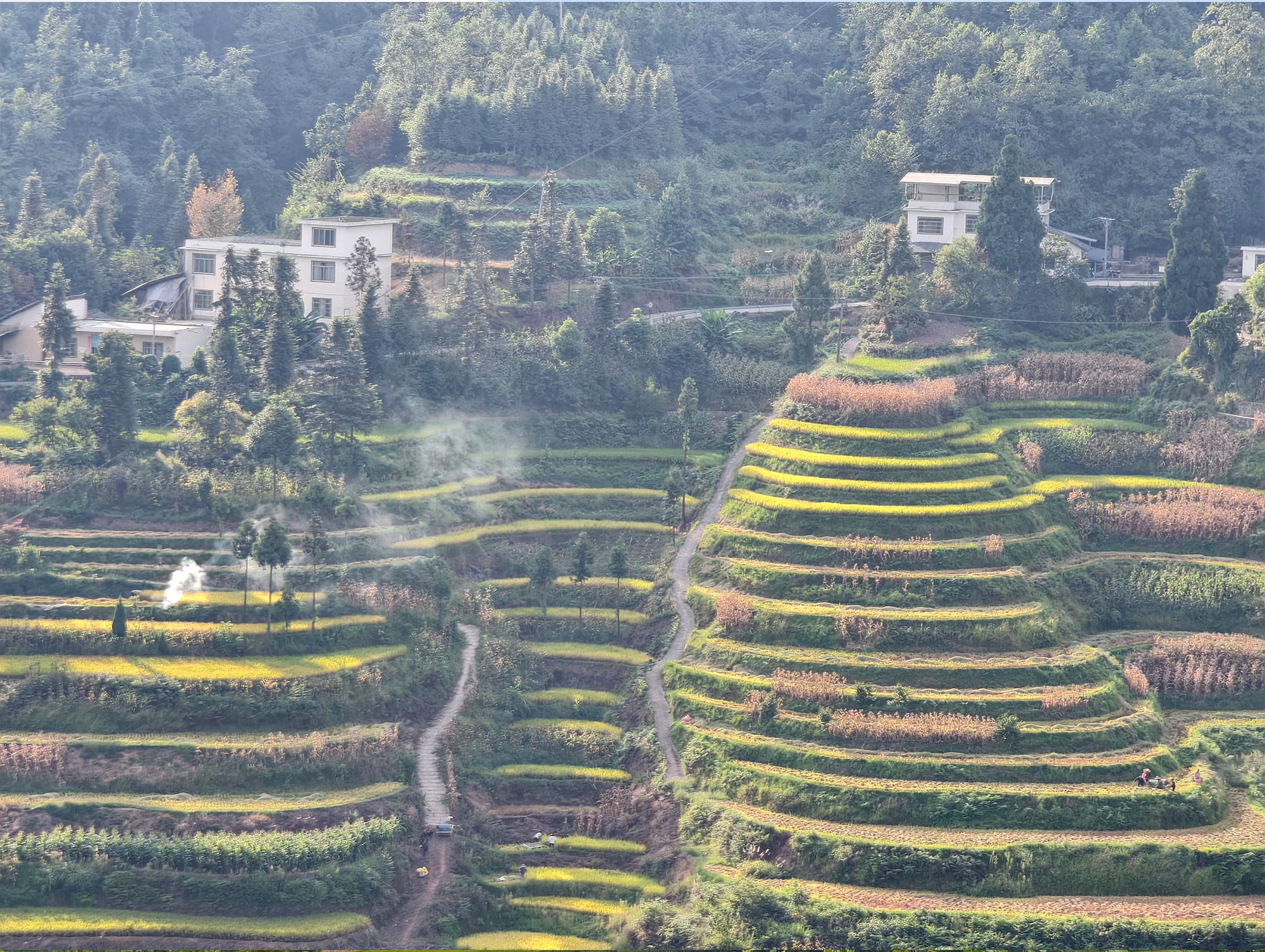 The terraces that paint themselves