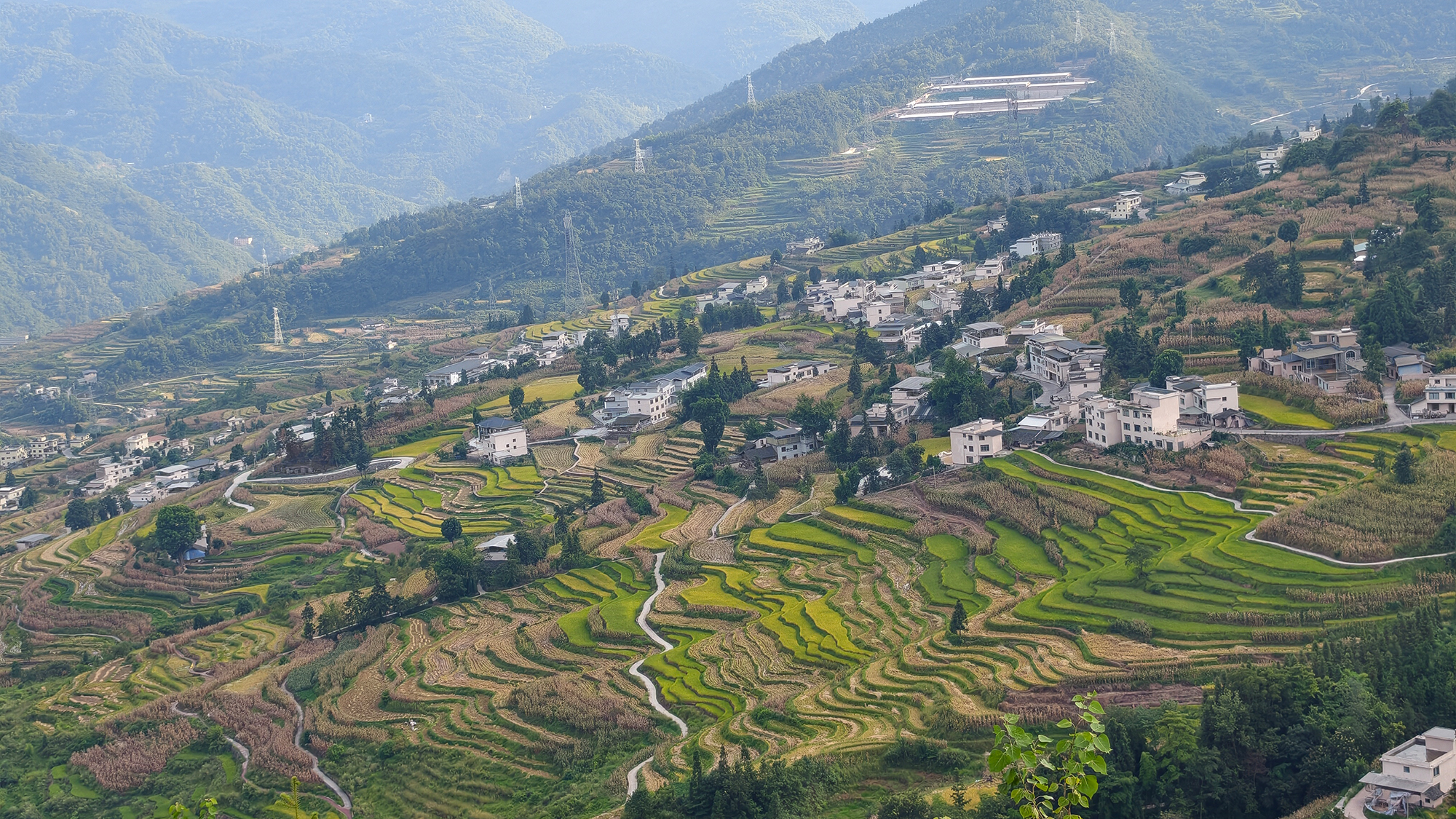 The terraces that paint themselves