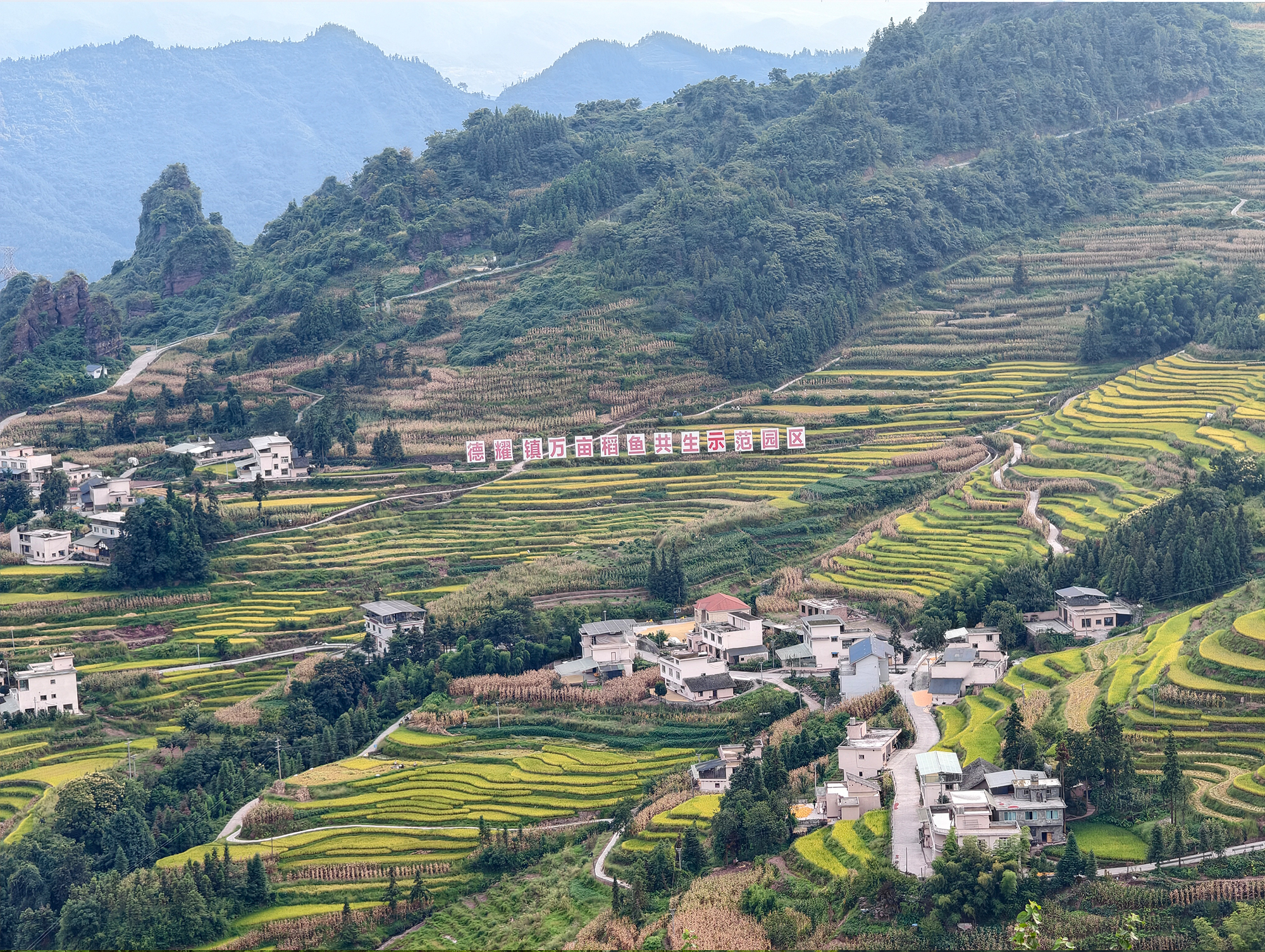 The terraces that paint themselves