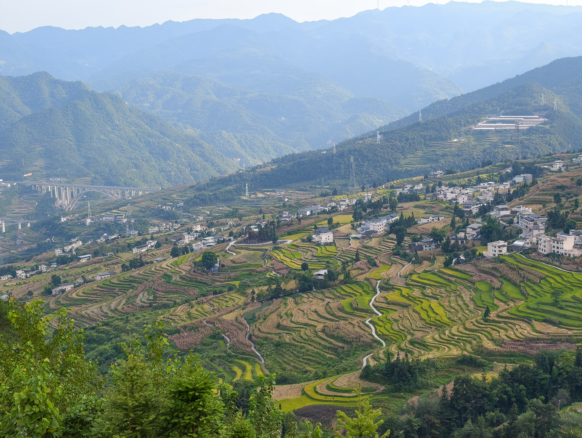 The terraces that paint themselves