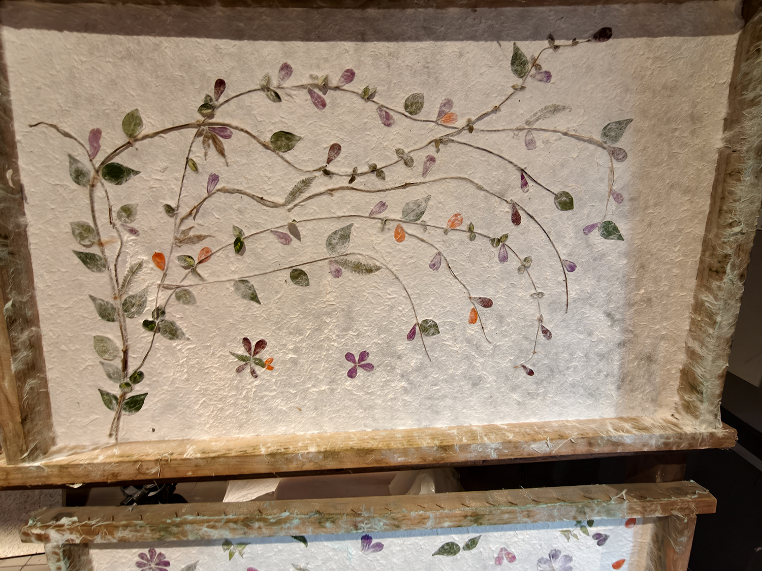 Flowers trapped in time: The art of Huacao Paper