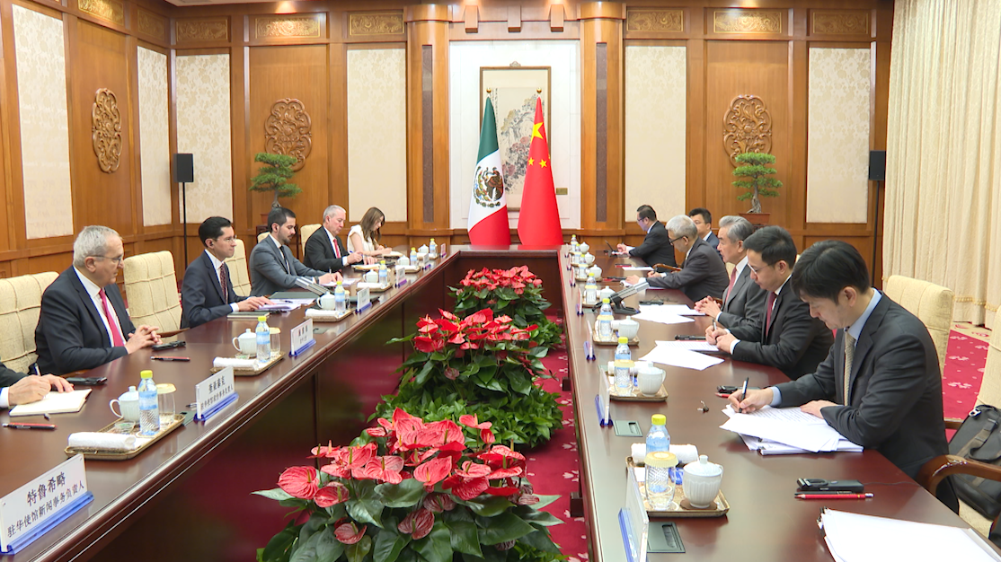 Wang Yi says China and Mexico have become mutually beneficial partners