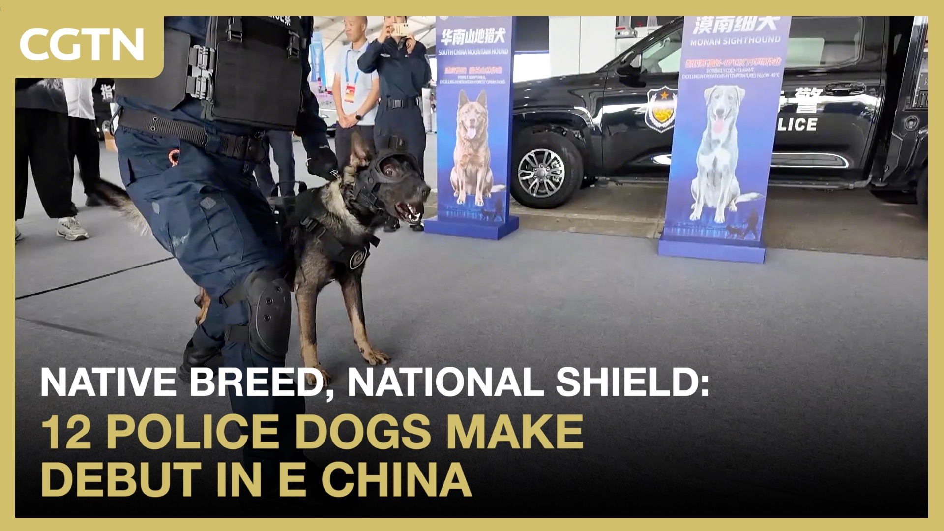 Native breed, national shield: 12 police dogs make debut in E China 